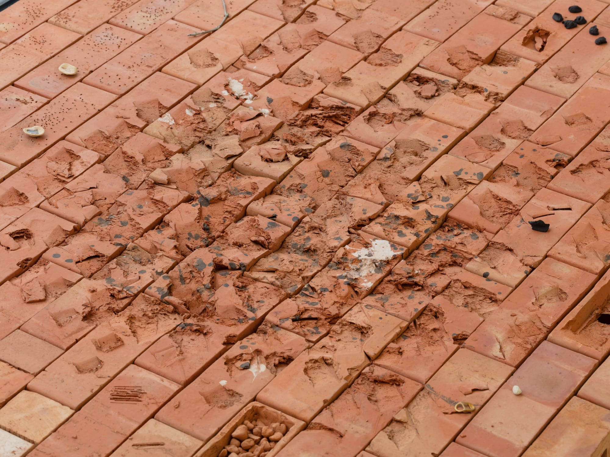 Kate Newby: All the stuff you already know