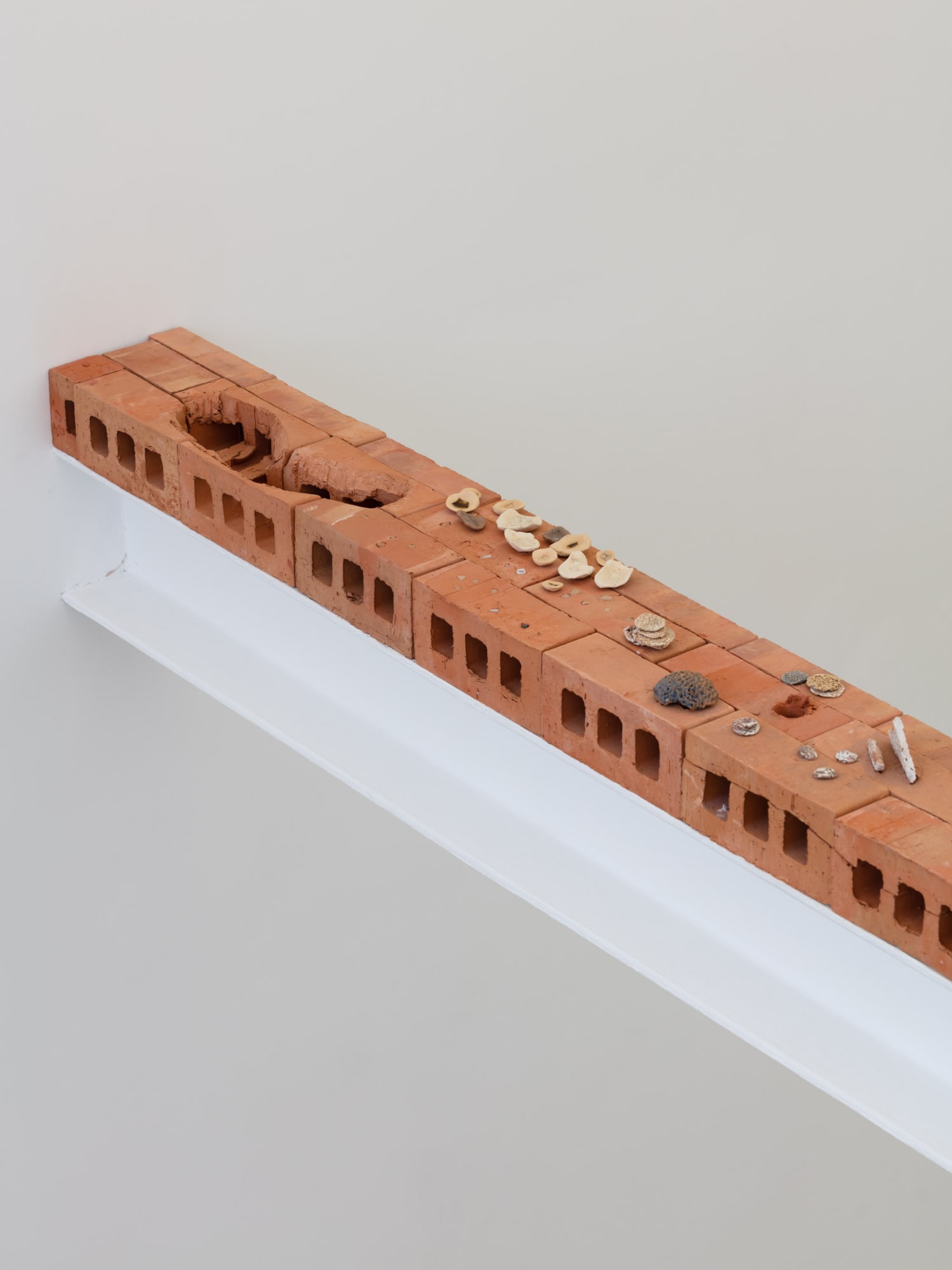 Kate Newby: All the stuff you already know