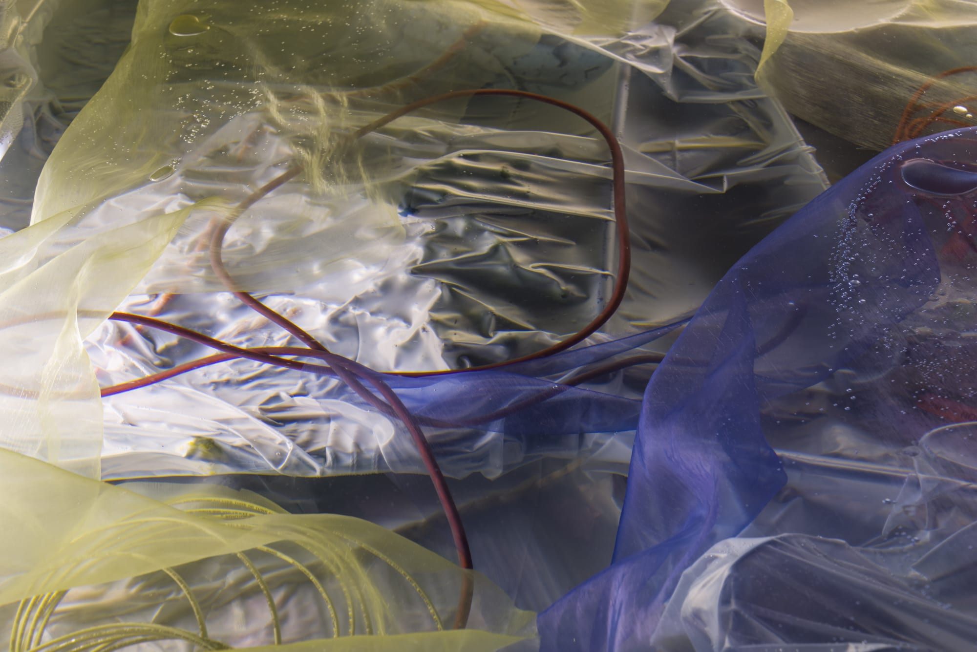 Samara Scott: Jacob's Creek