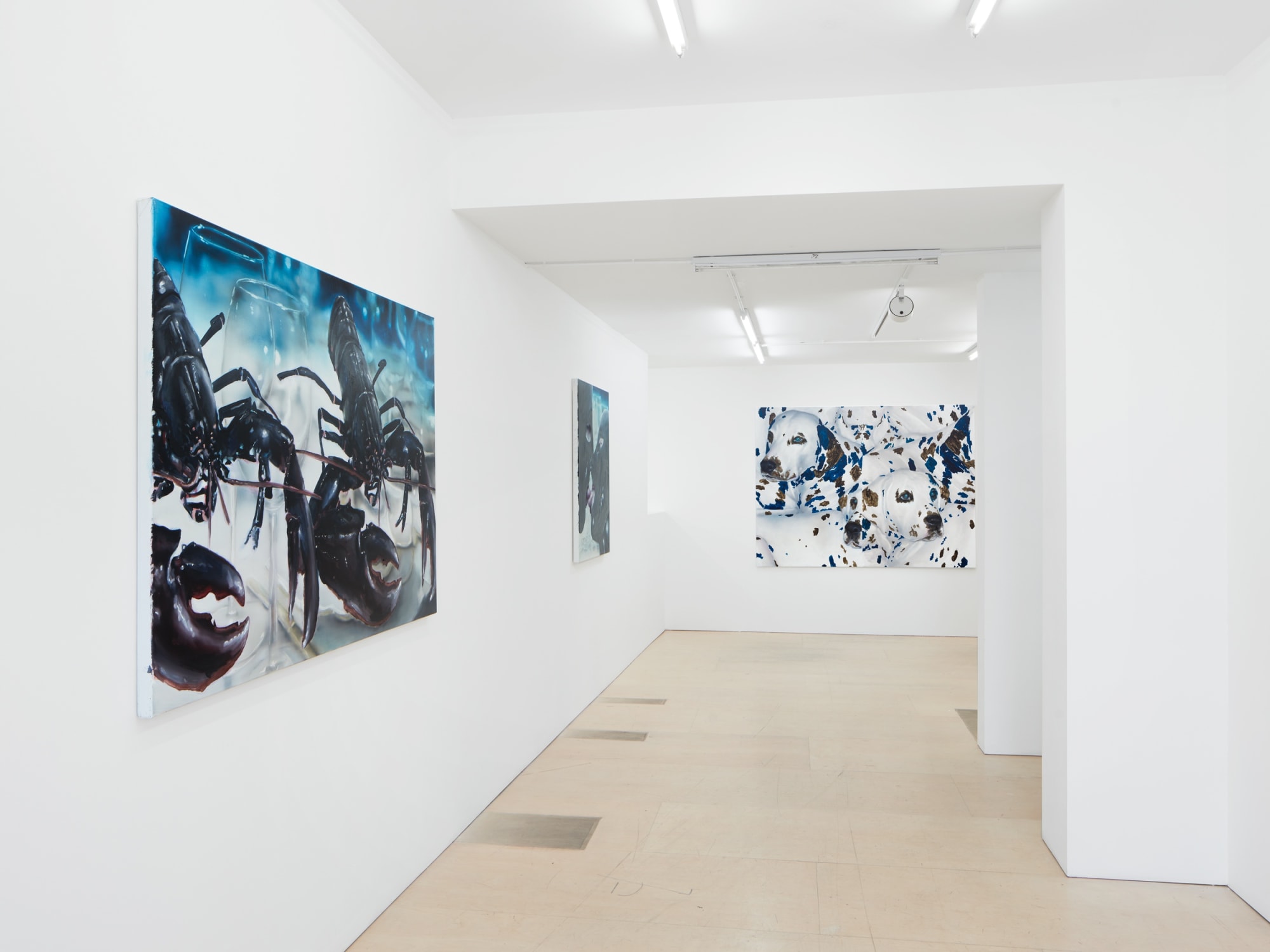 Tomas Harker: Multiple Choice Fairytale Ending