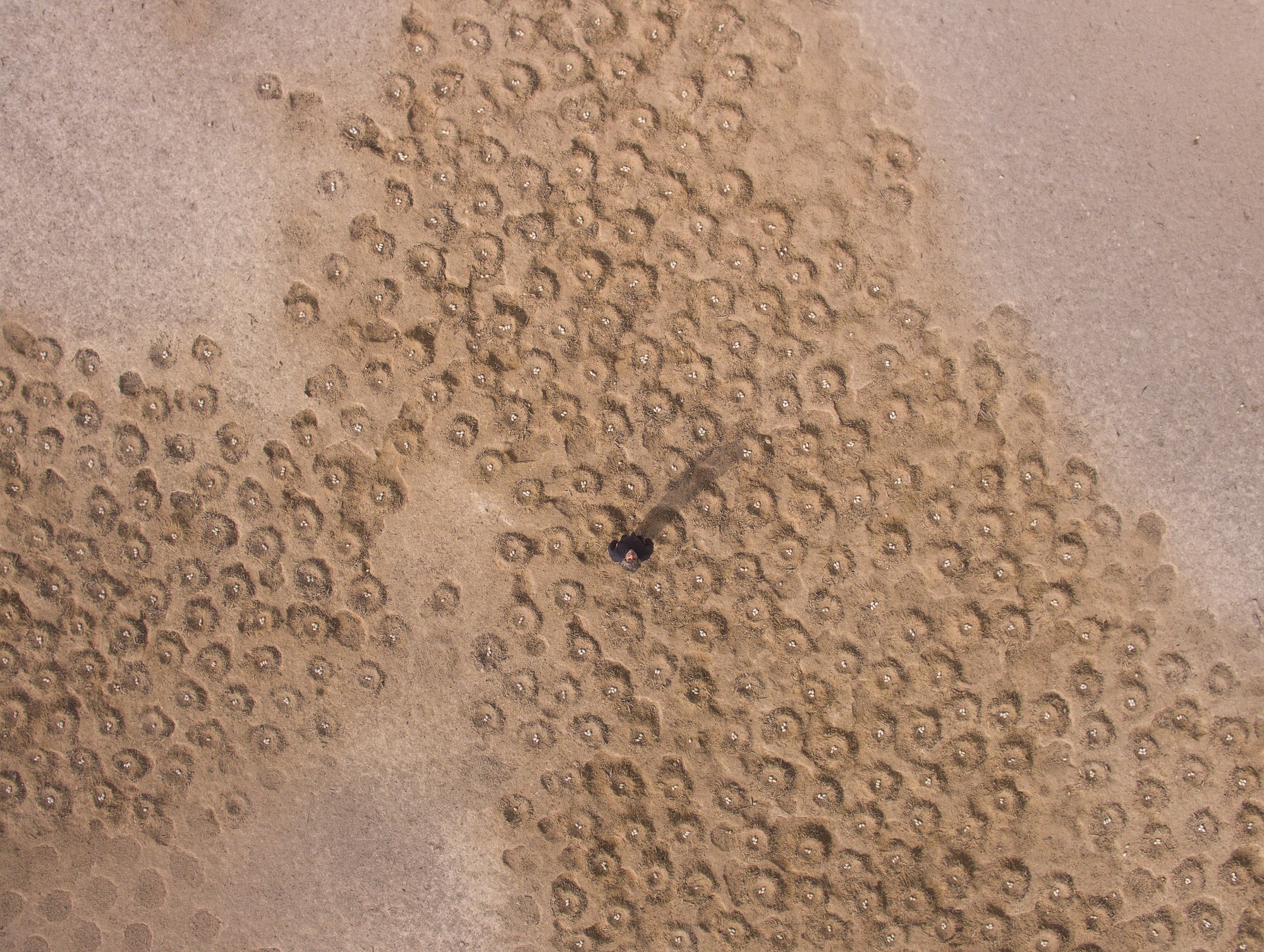 Tarek Al-Ghoussein, Abu Dhabi Archipelago (Salaha 2), 2015-, Digital Print, 60 x 80cm, Edition of 6 + 1AP