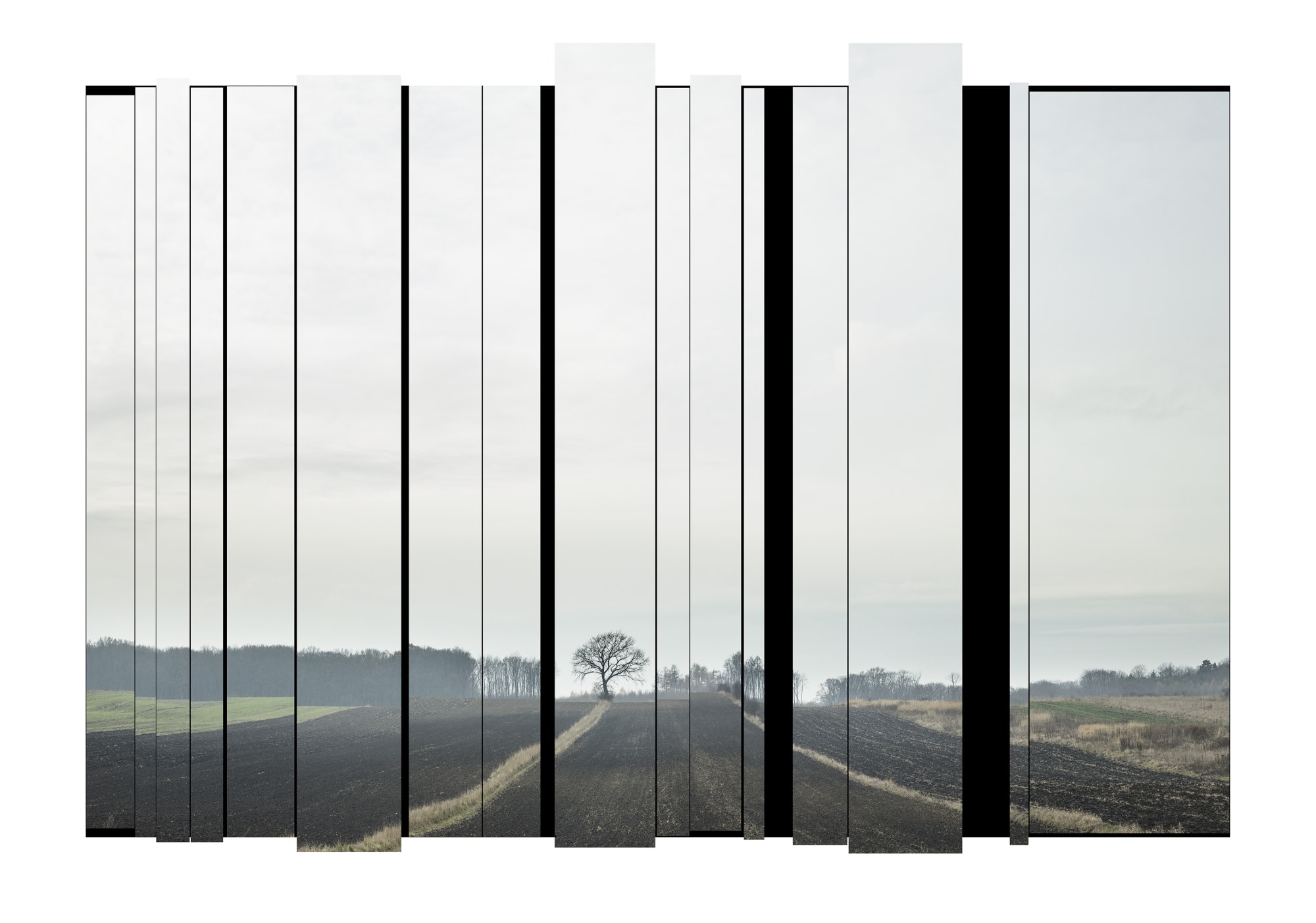 Barry Salzman Deconstructing The Legacy Of Landscape, Outskirts Of Miechów, Poland, 2023 Dibond Archival Giclée Print on Hahnemühle Photo Rag, framed with anti-reflective, UV-resistant museum glass 85 x 115 cm Edition of 8 plus 2 artist's proofs (#1/8)