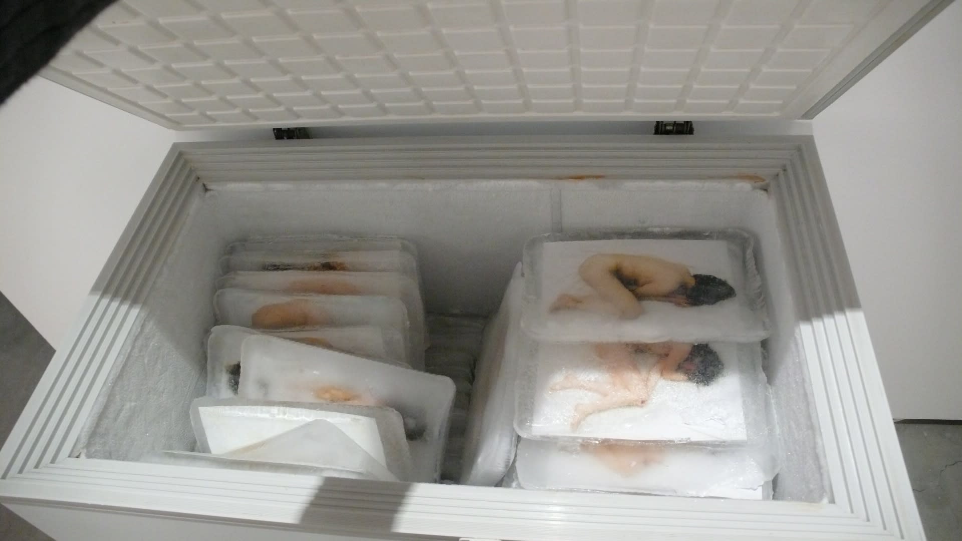 潛活：公寓日誌