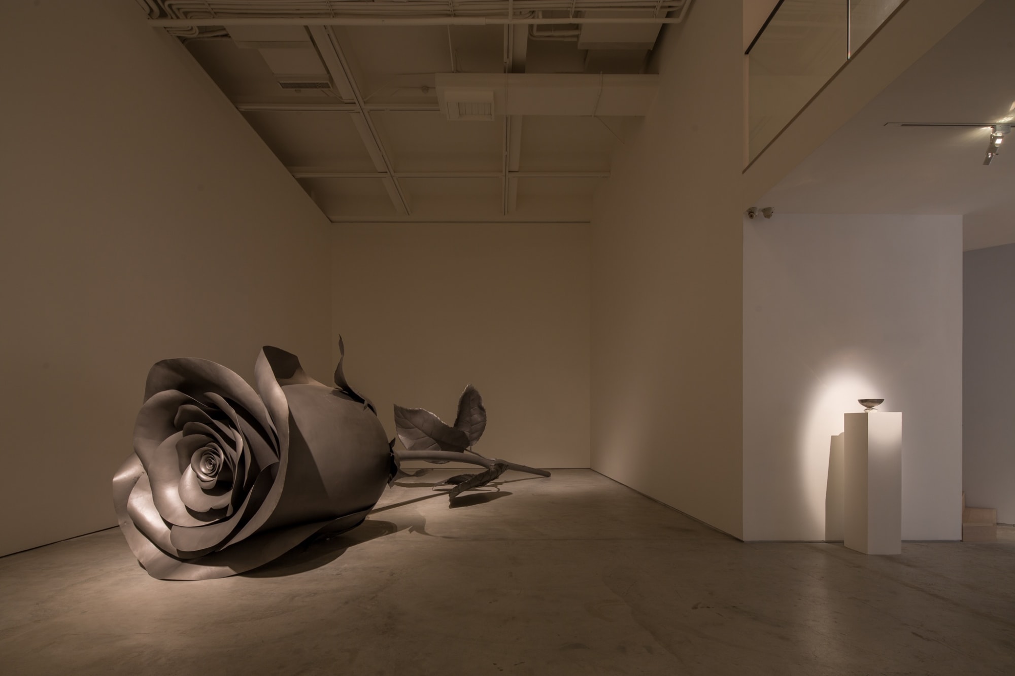 Floating Rose