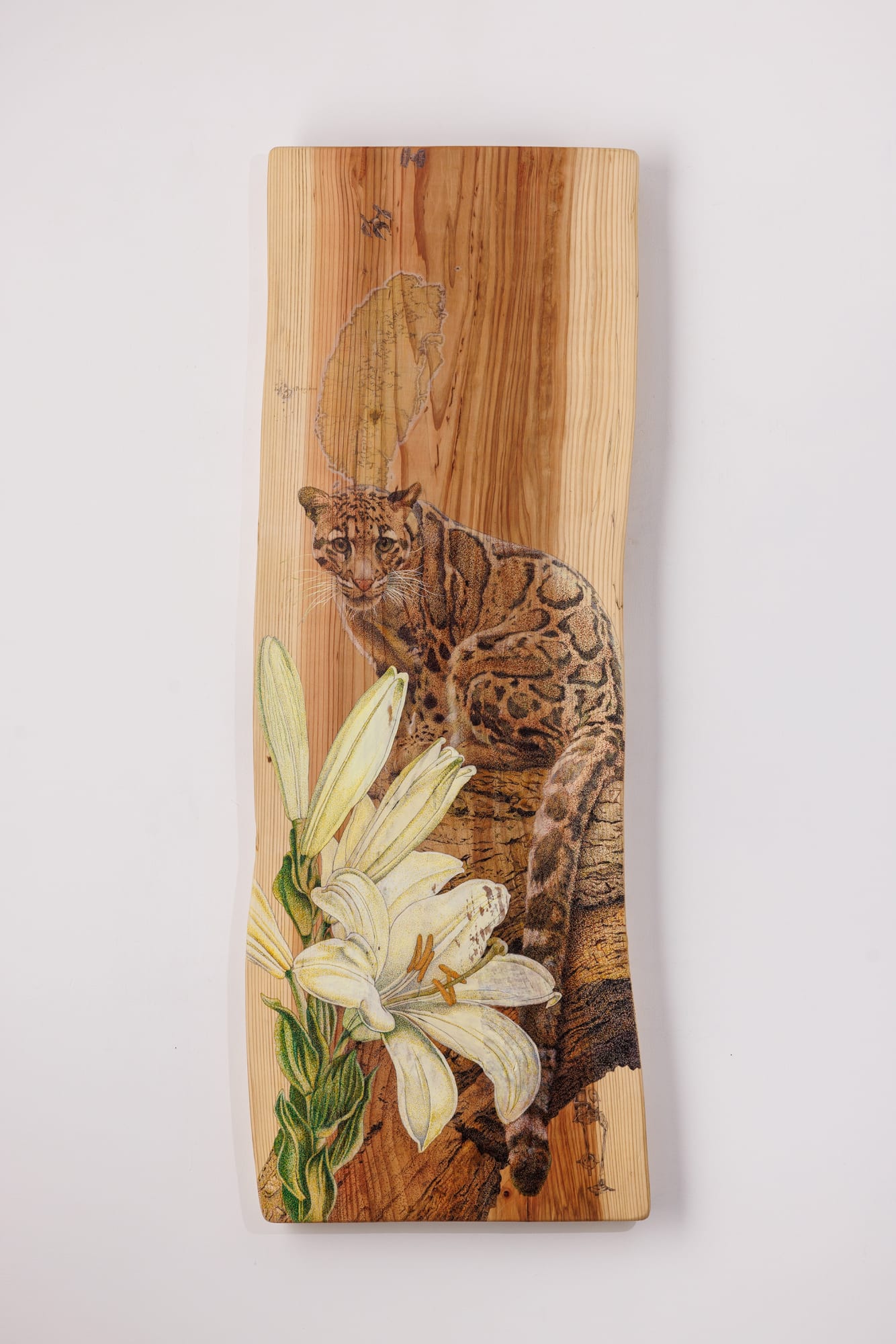 楊茂林, 花落春未盡．雲豹與百合M2203,2021 Yang Mao-Lin,The Lasting Spring, Clouded Leopard and Lily M2203, 2021