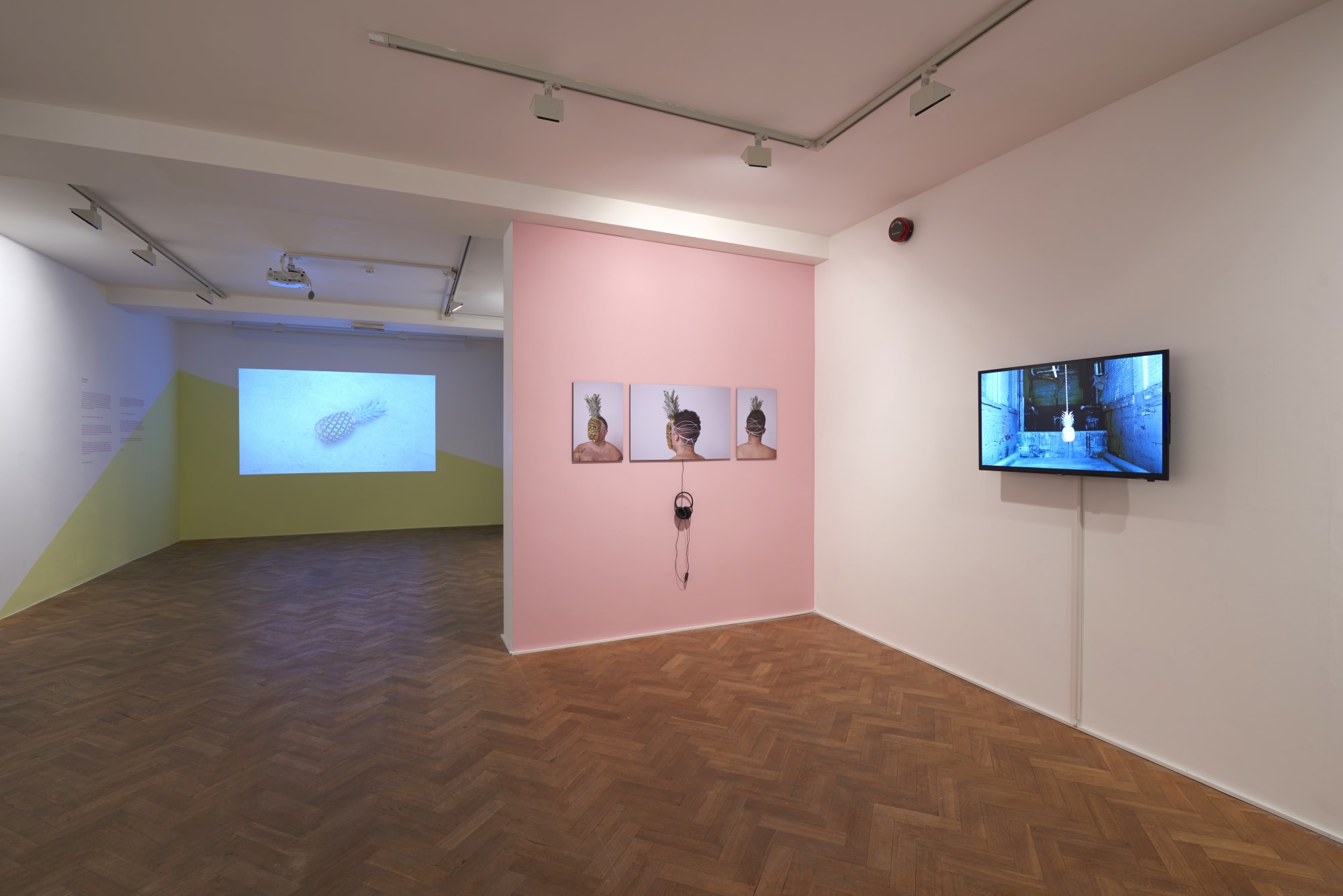 Curated by Zina Saro-Wiwa