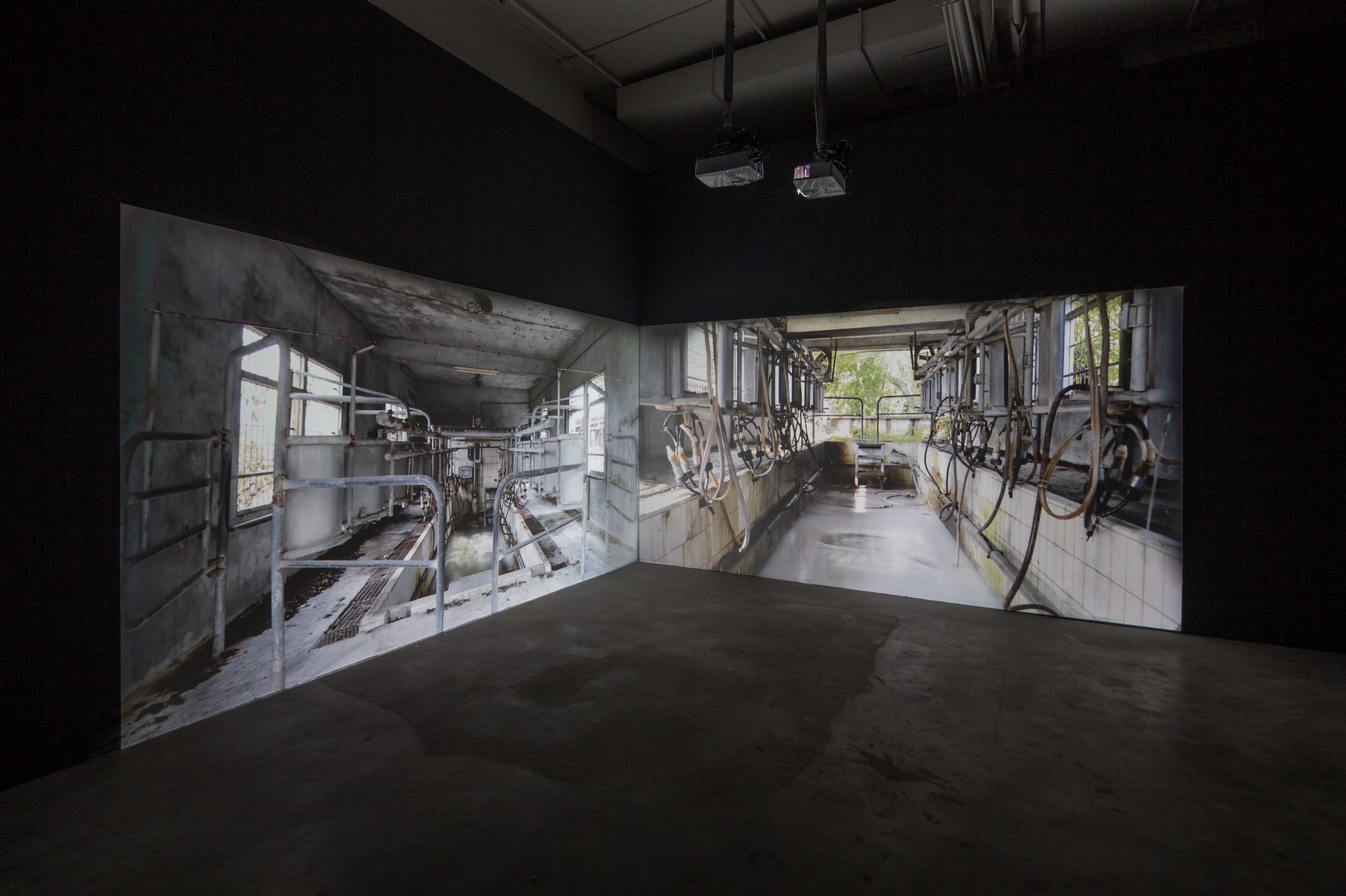 迴光線 — 影像的裂隙