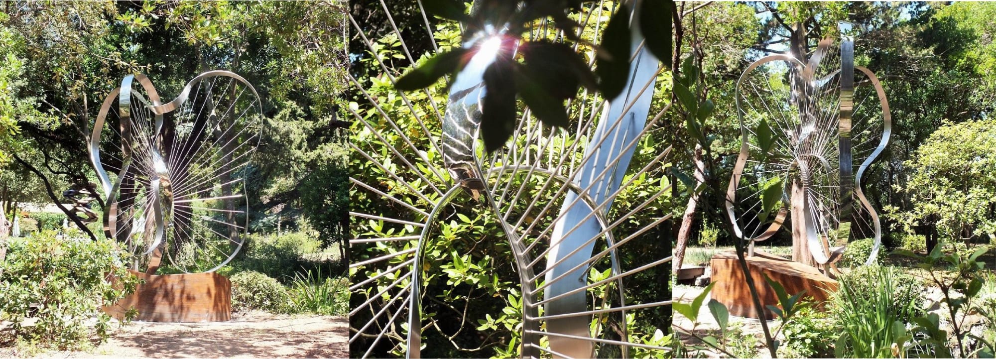 Metamorphosis