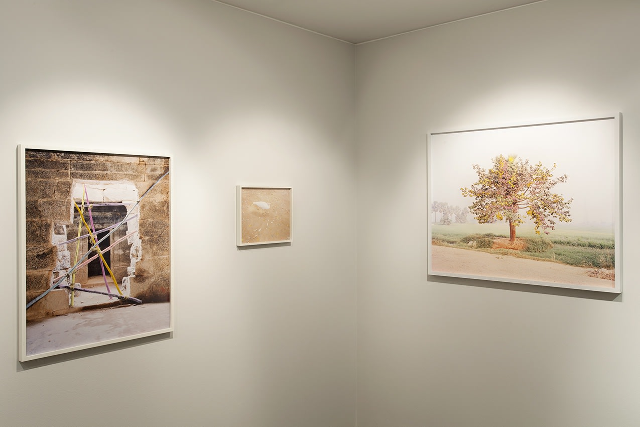 Vasantha Yogananthan: AMMA (29 Oct 2020 - 7 Feb 2021) © Kate Elliott