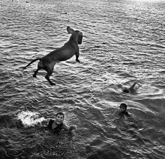 Raúl Cañibano Dog Jumping, Malecón Habanero, Cuba, 2013