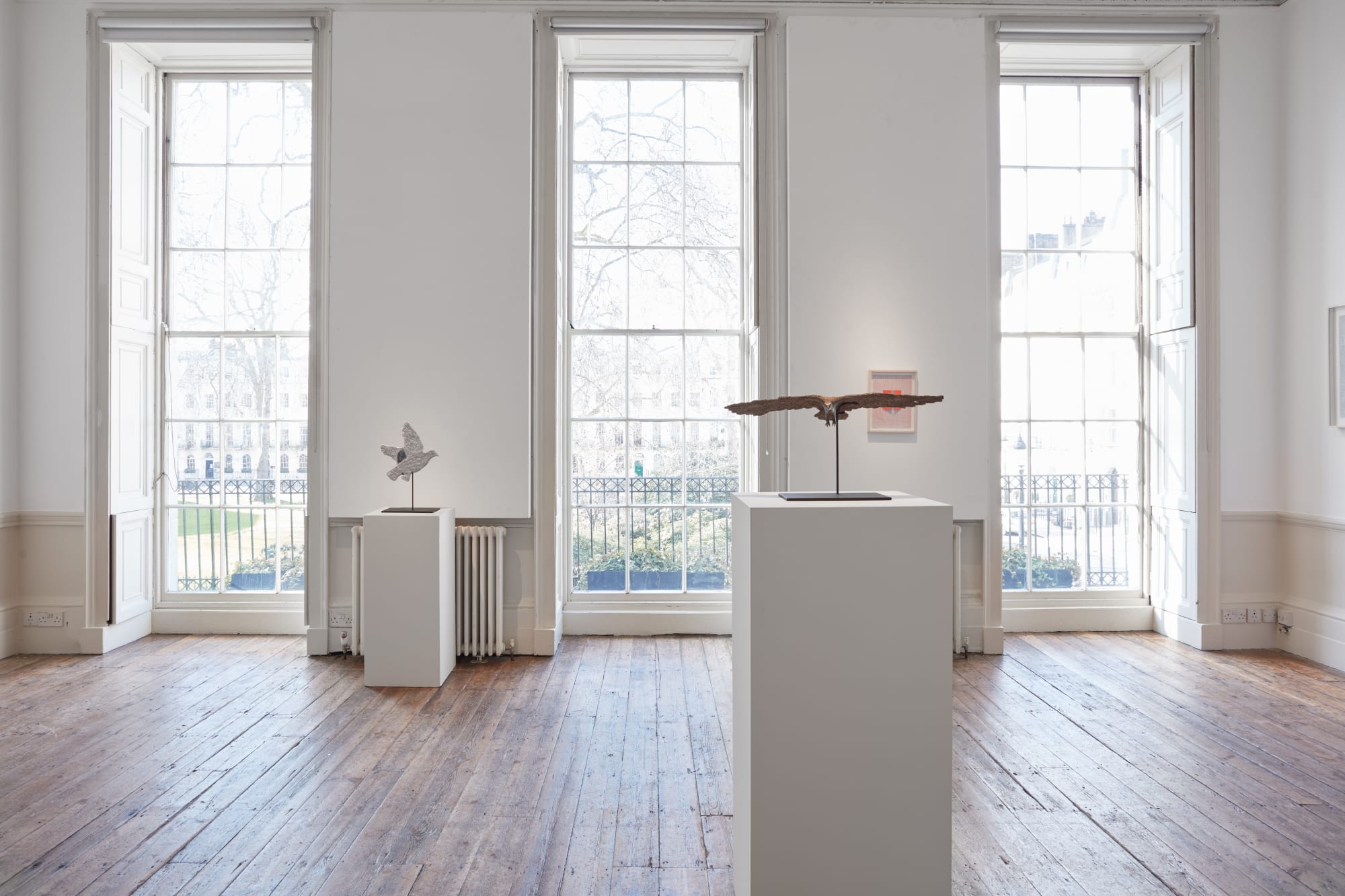 Of Birds and Monkeys