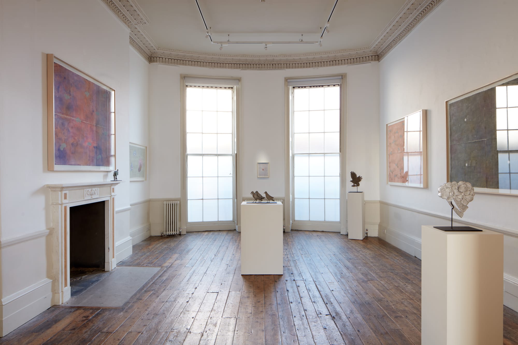 Of Birds and Monkeys