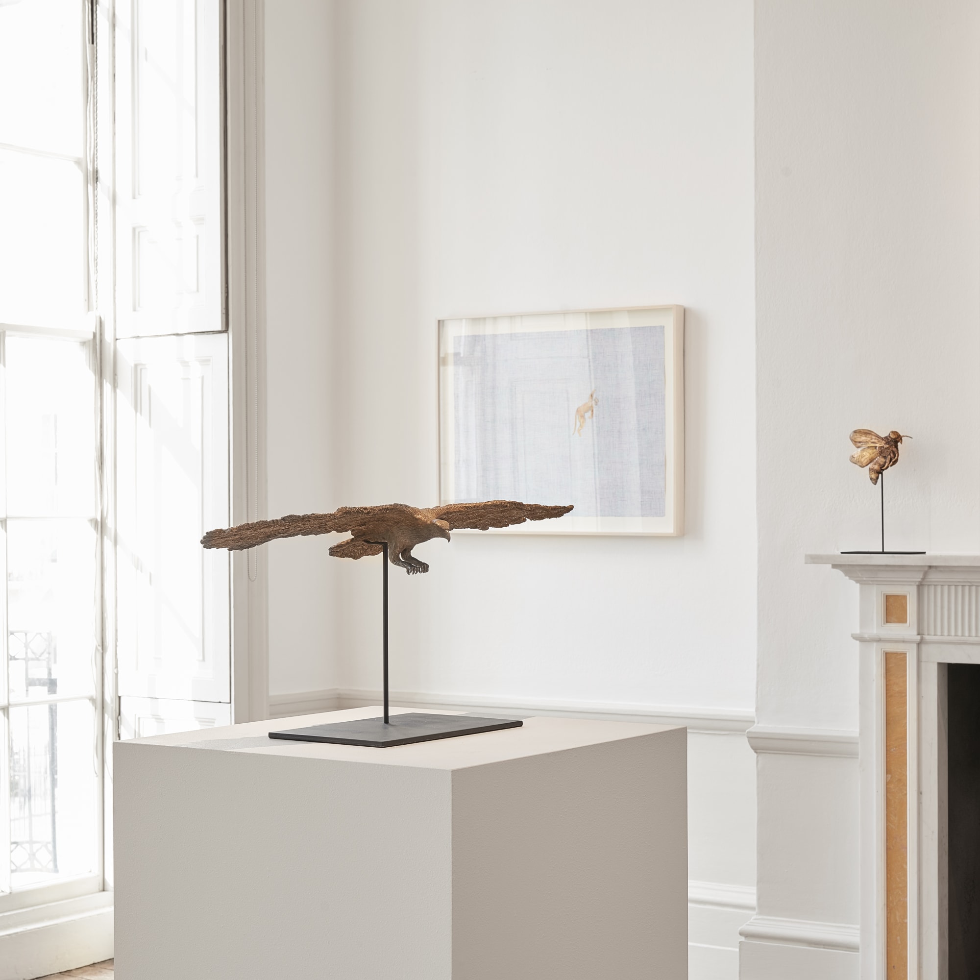 Of Birds and Monkeys