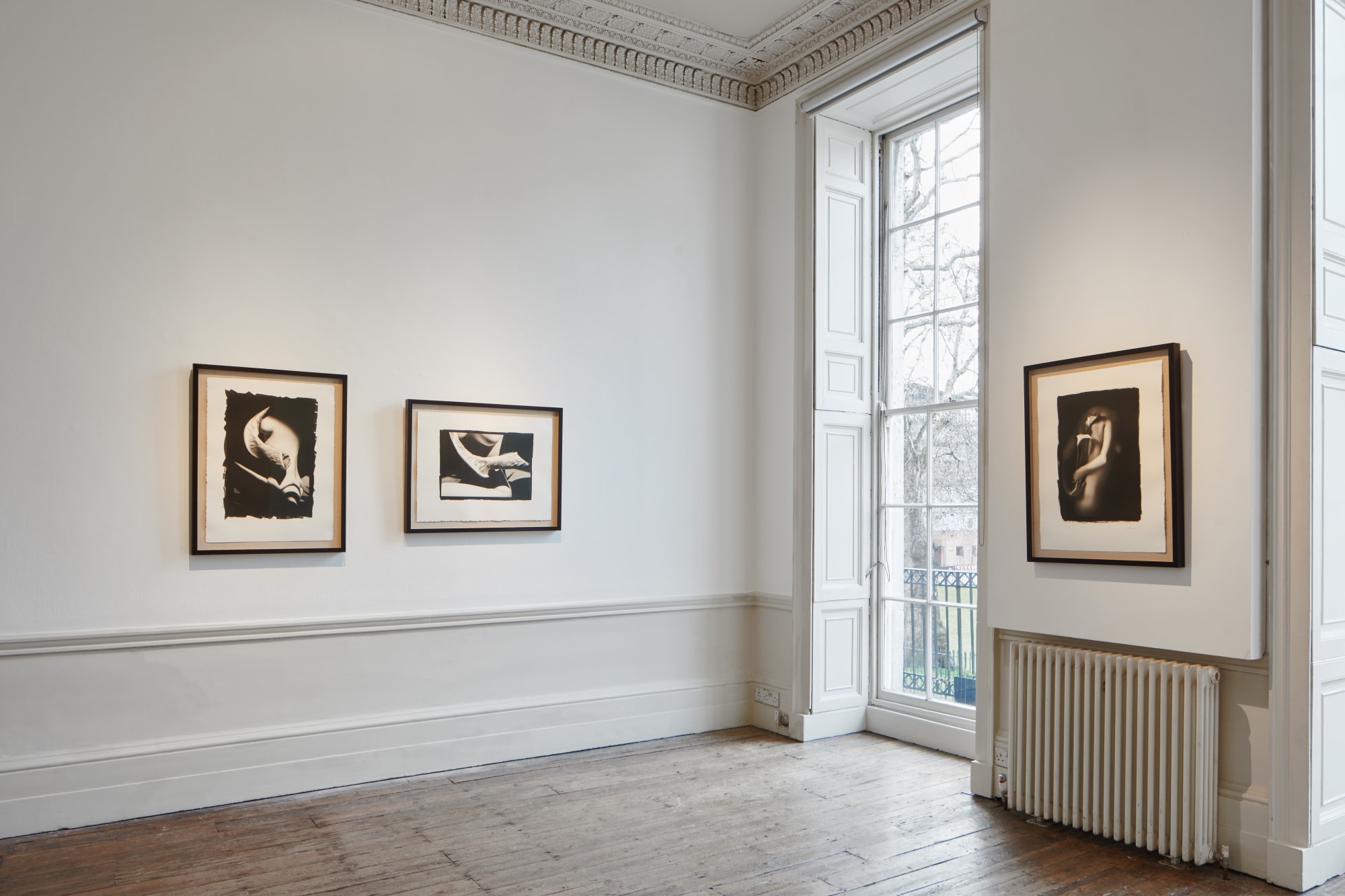 Imagining Tina: A Dialogue With Edward Weston