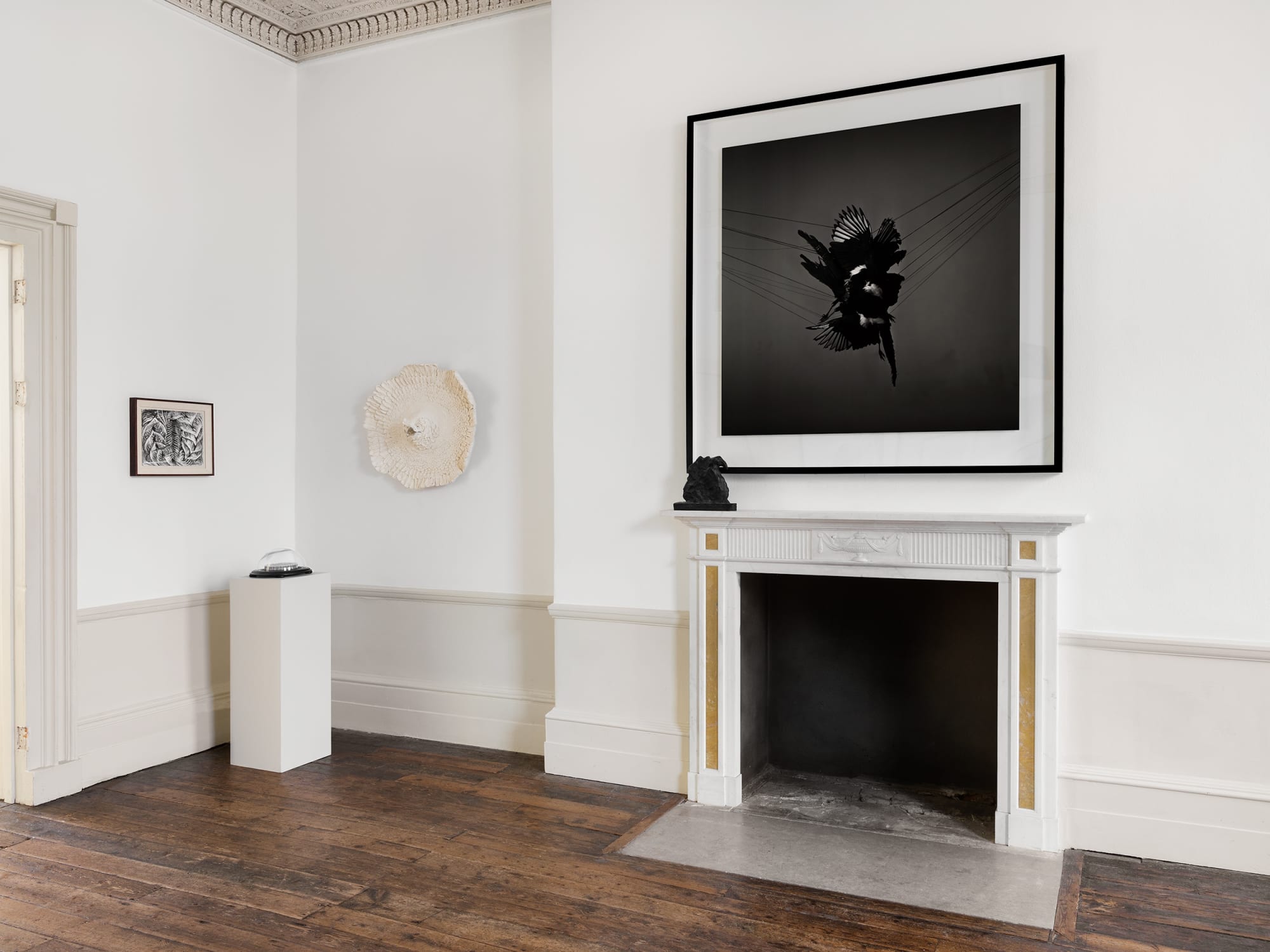 The Conference of the Birds