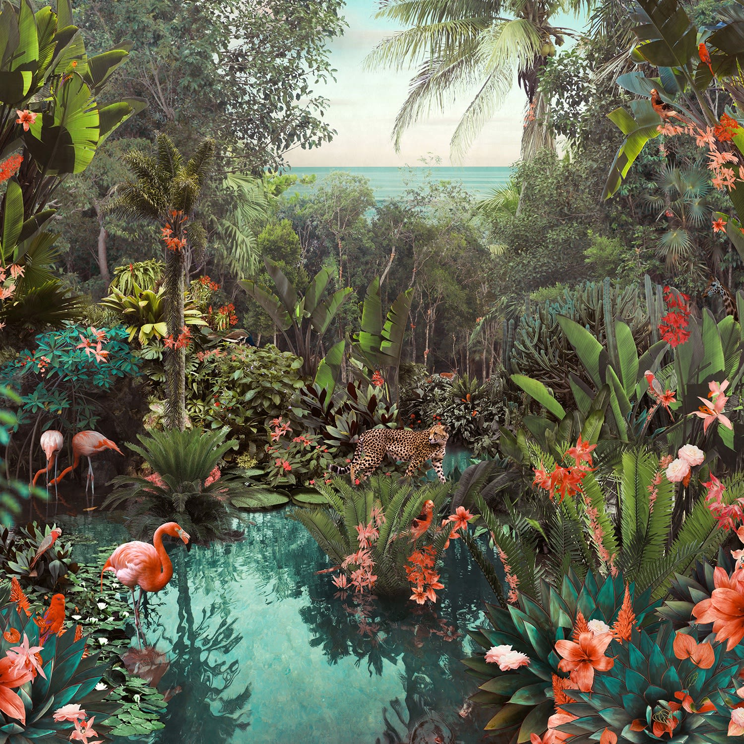 Placeholder image
