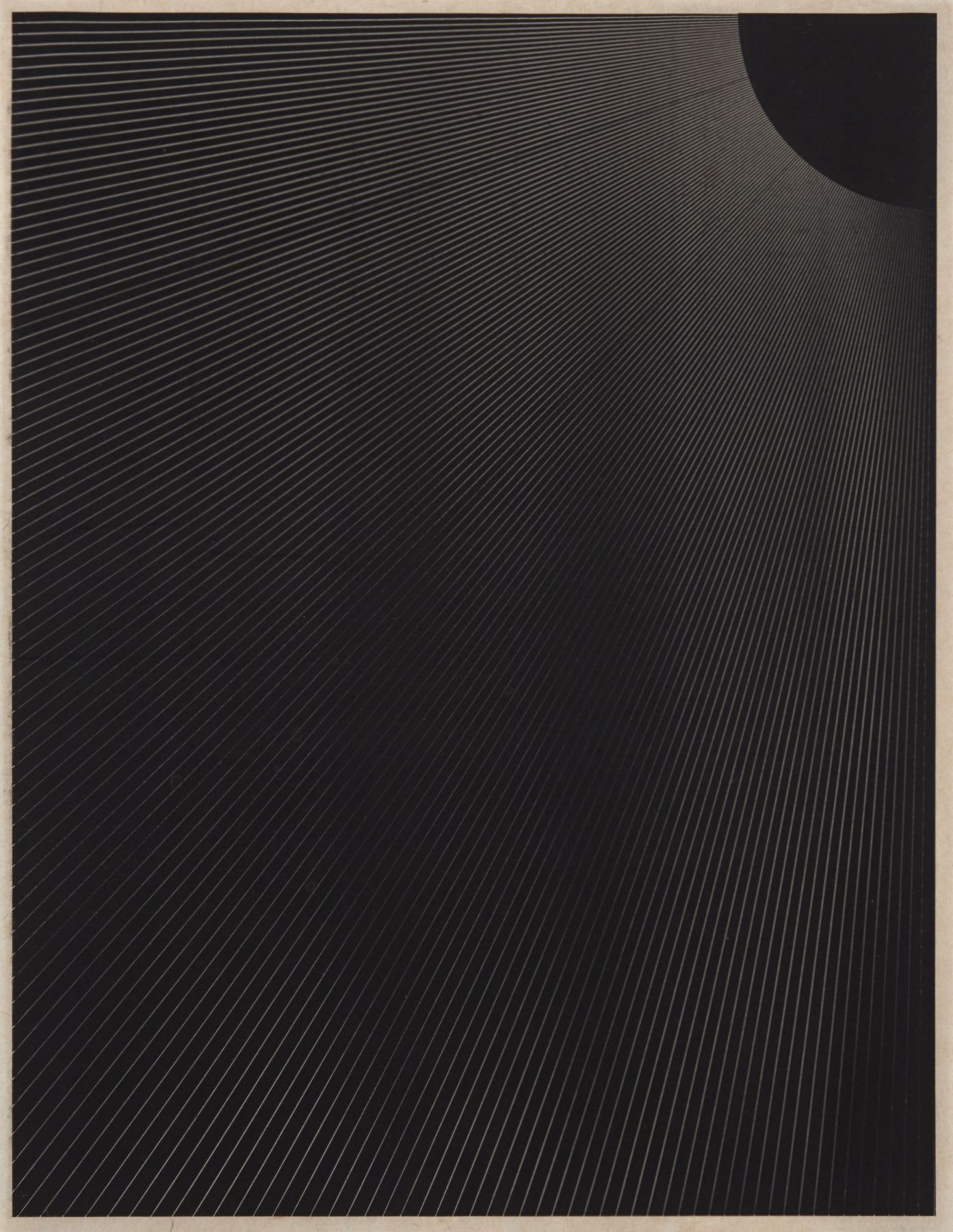 TM Davy Rhododendron (2) 2016 Oil on linen 12 x 10 inches (30.5 x 25.4 cm) TMD 223