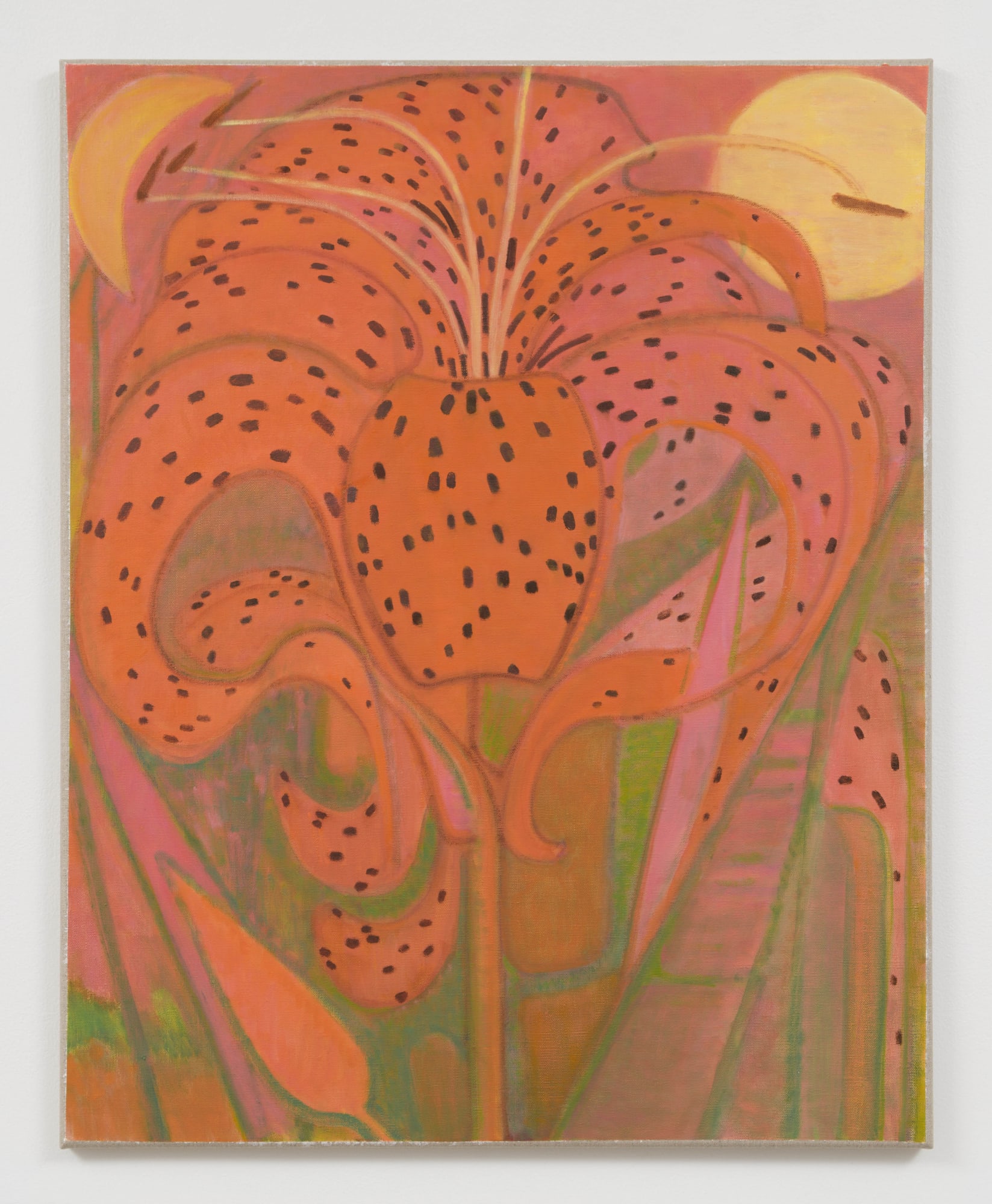 Tiger Lily, 2022 Oil on linen 30 x 24 in 76.2 x 61 cm Private Collection