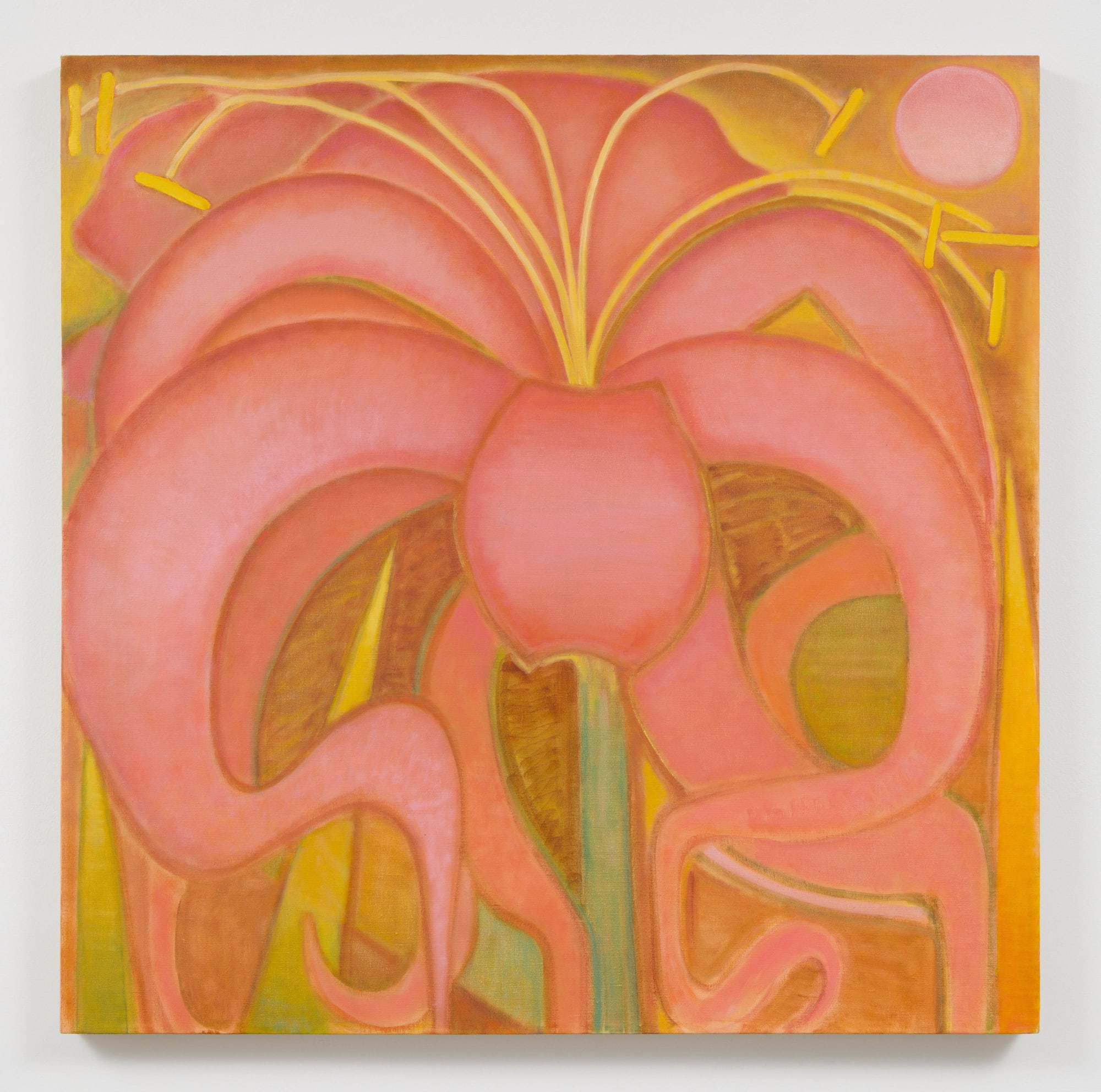 Surprise Lily, 2022 Oil on linen 34 x 34 in 86.4 x 86.4 cm Private Collection