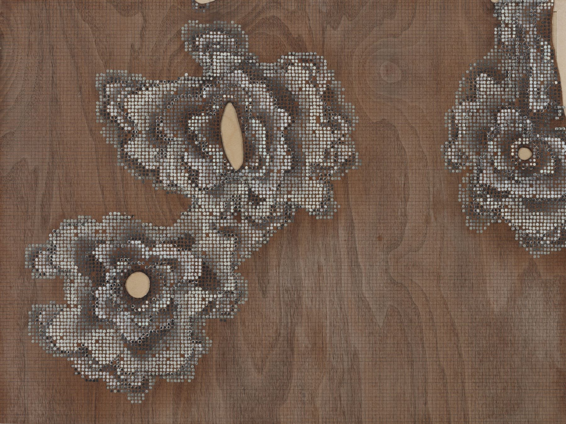 Coral Rule 2010 Acrylic on walnut veneer on panel 15 x 20 inches (38.1 x 50.8 cm) HB 18