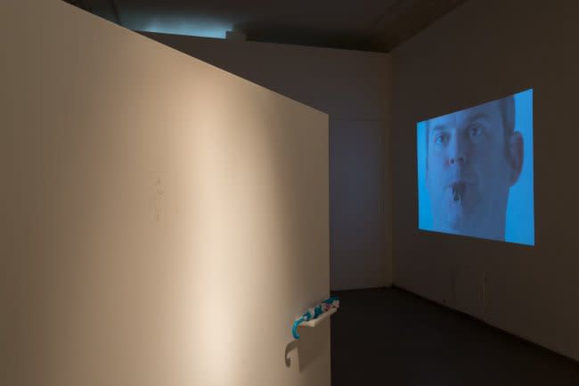 Erwin Wurm, Interpretations, curated by Amer Abbas, Galerija Vartai, Vilnius (2015)