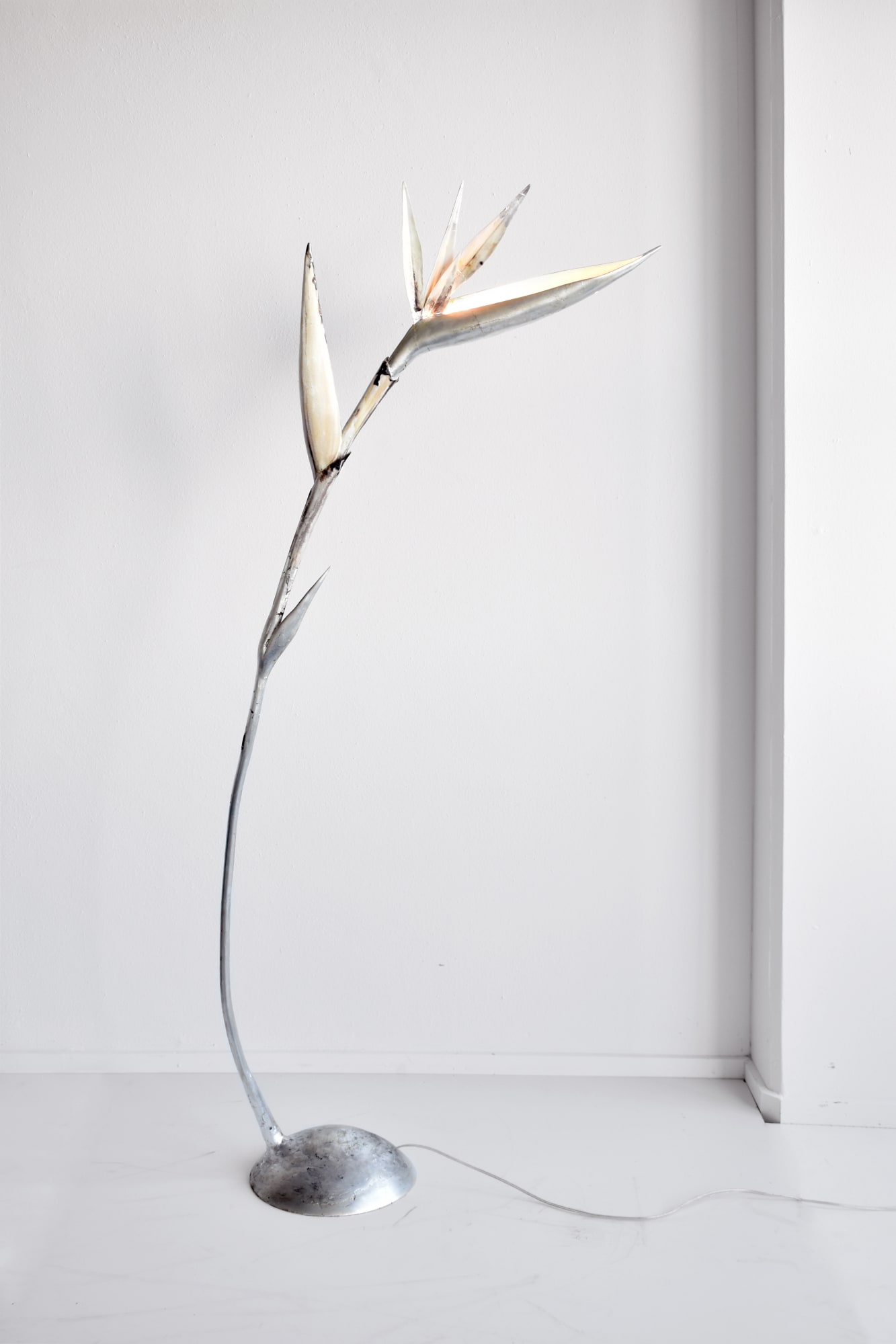 Single stem, strelitzia, lighting by Etienne Marc