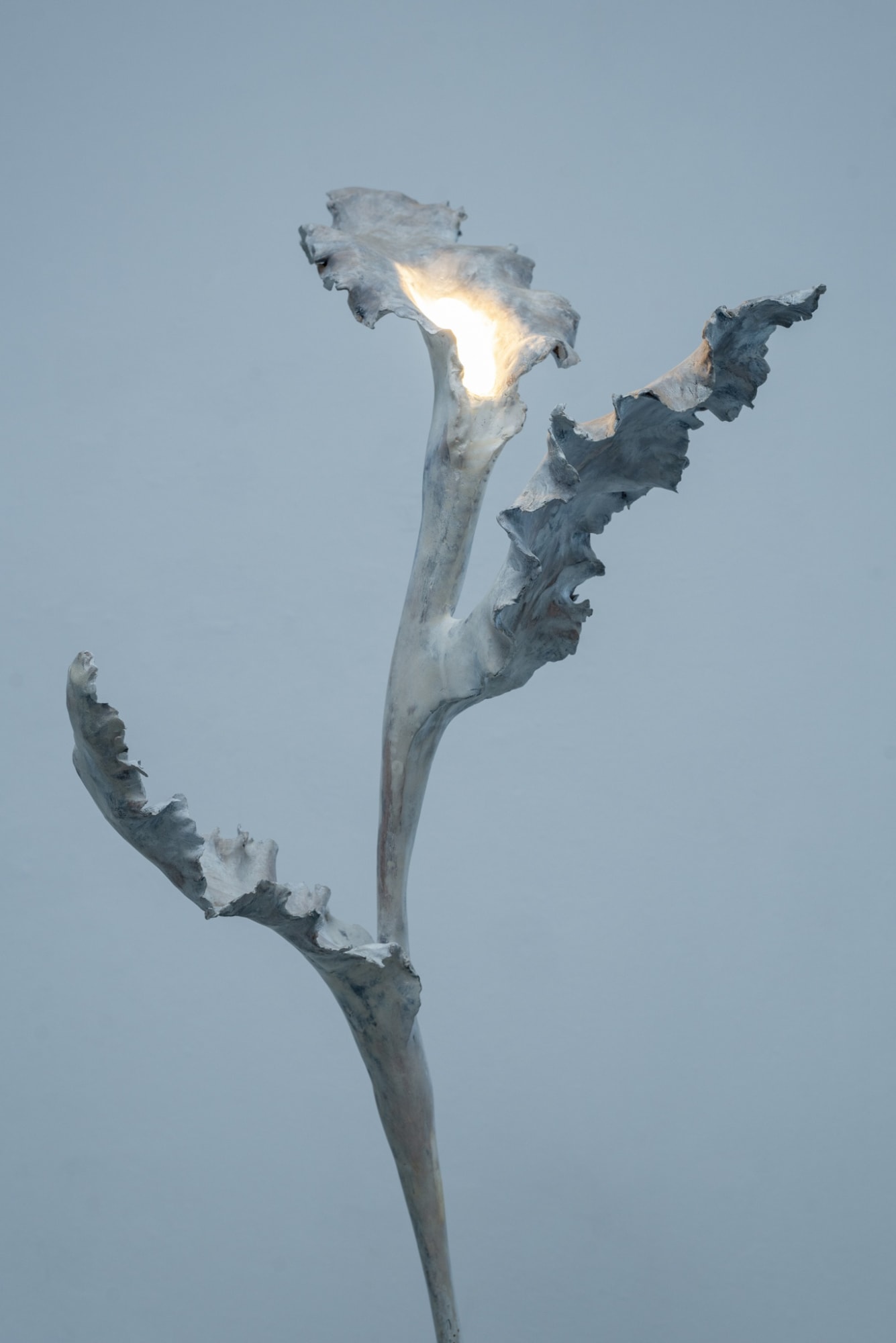 'Reception Room' by Etienne Marc & Dorian Renard