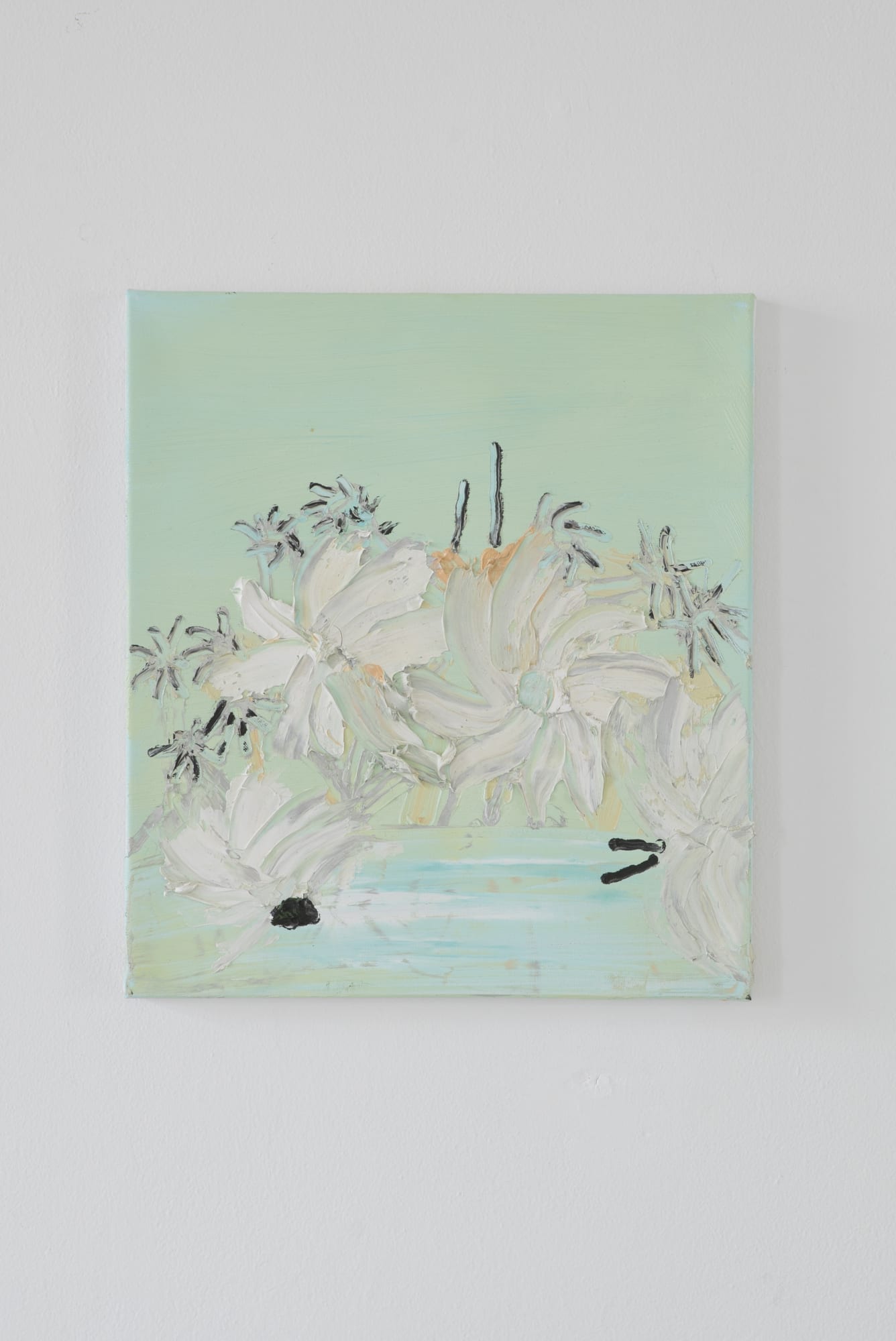 ADOMAS DANUSEVIČIUS