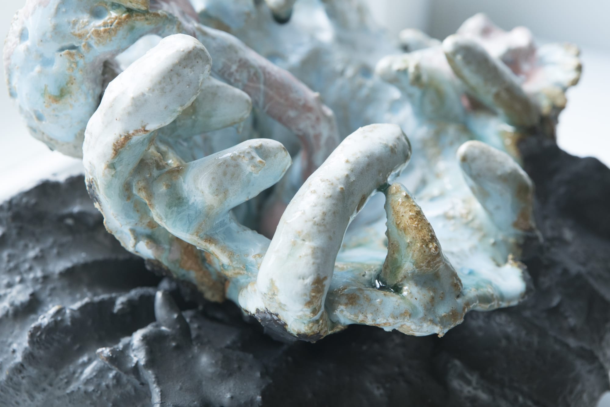 ADOMAS DANUSEVIČIUS