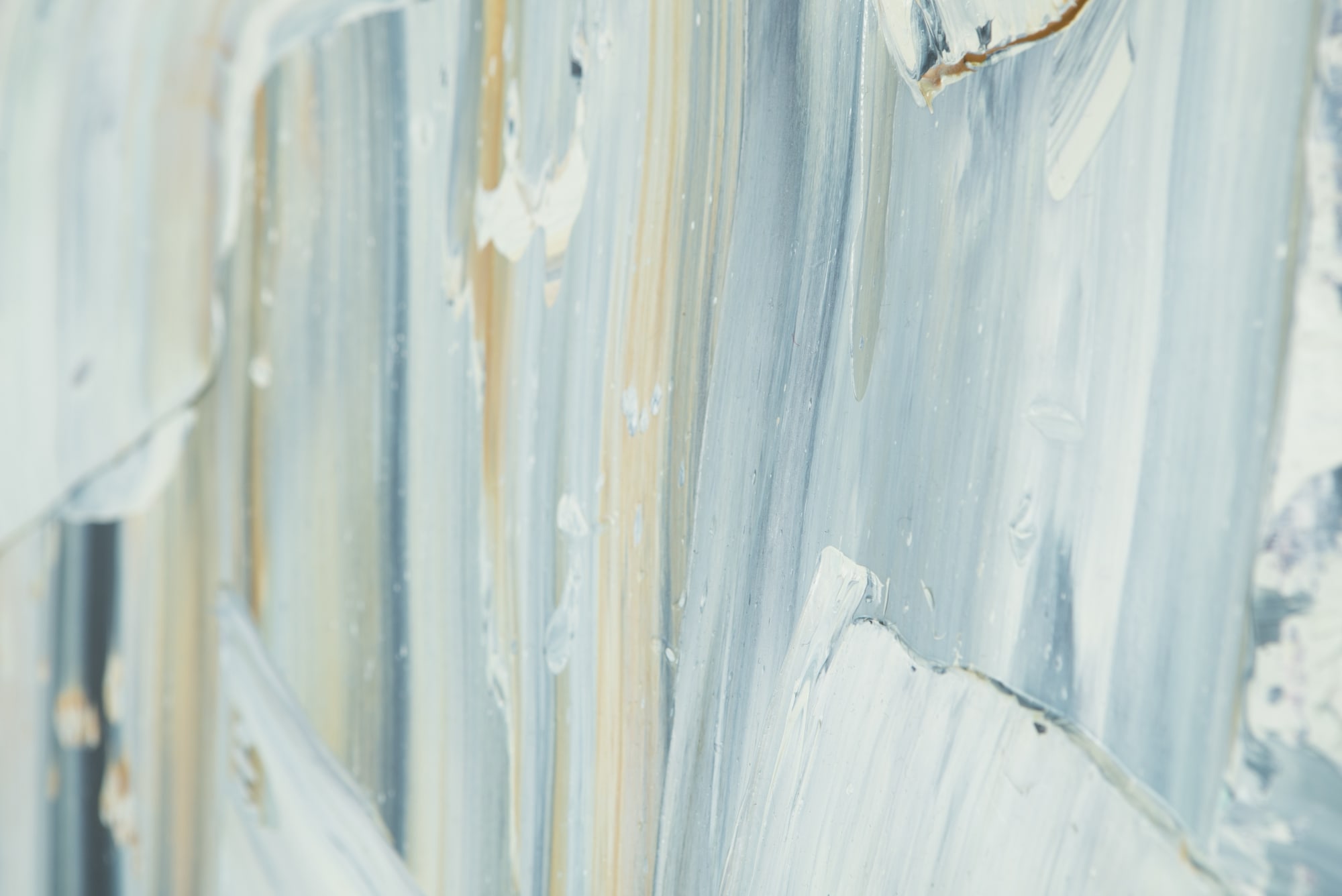 ADOMAS DANUSEVIČIUS