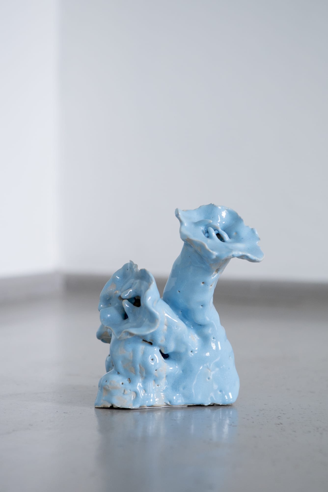 ADOMAS DANUSEVIČIUS