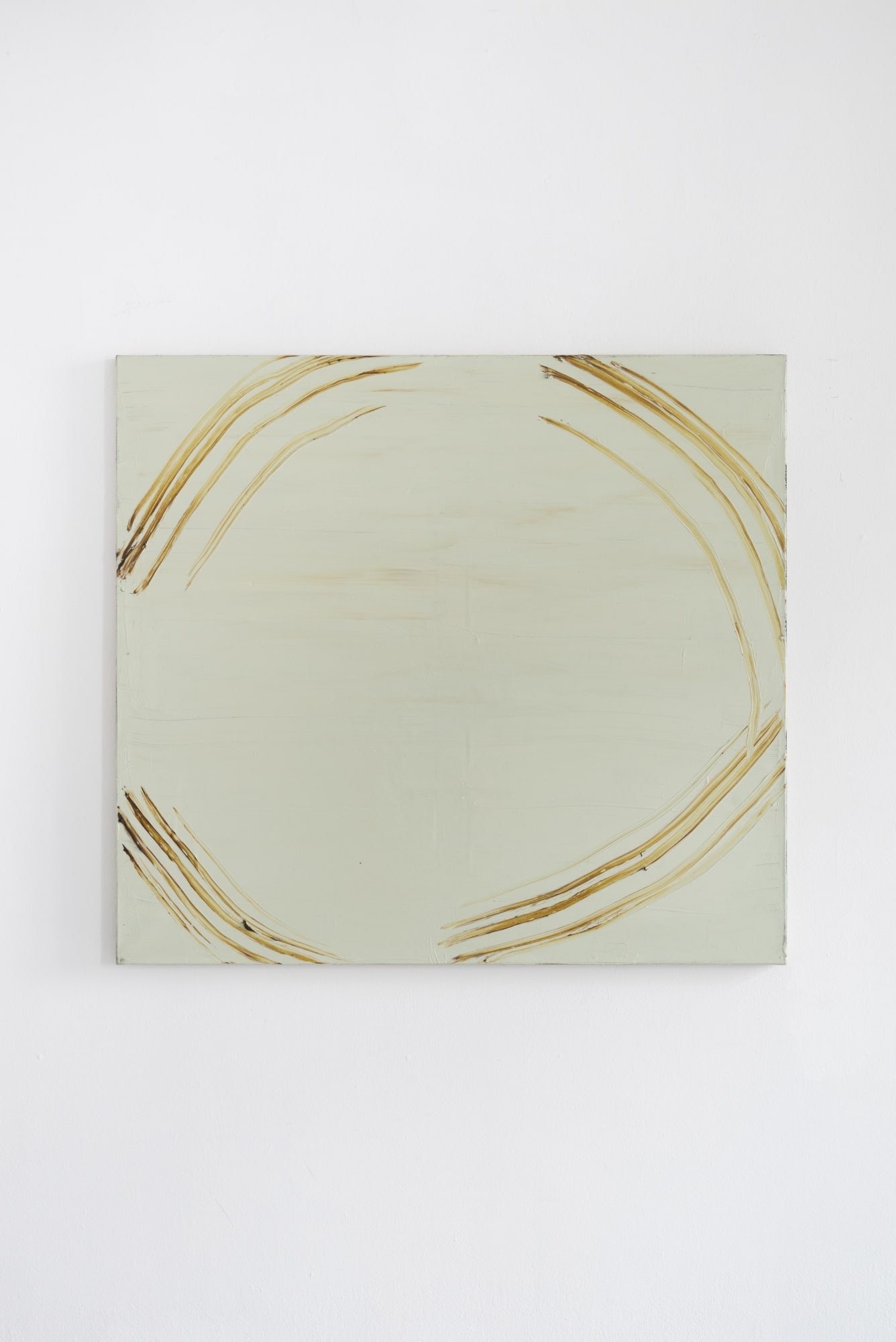 ADOMAS DANUSEVIČIUS