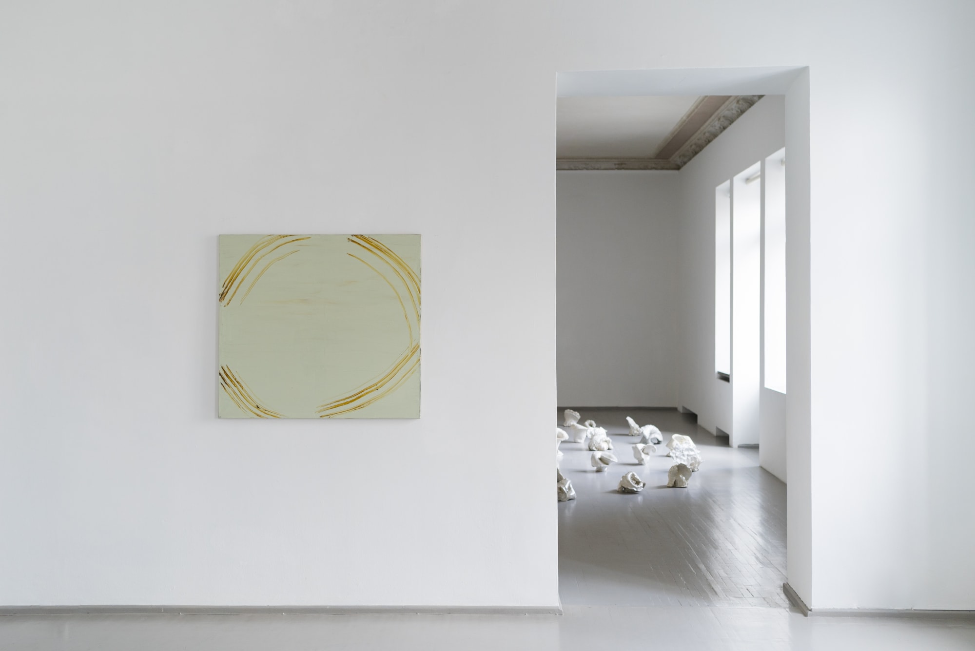 ADOMAS DANUSEVIČIUS