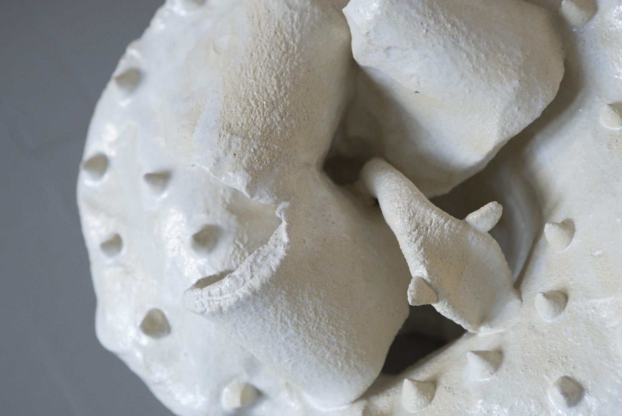 ADOMAS DANUSEVIČIUS