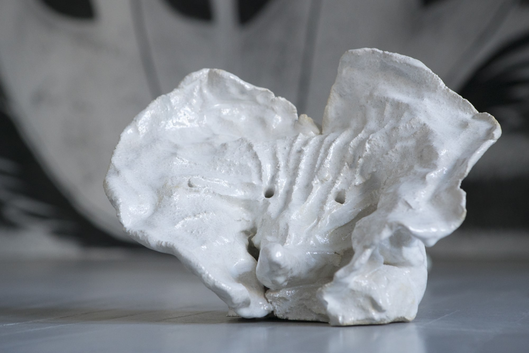 ADOMAS DANUSEVIČIUS