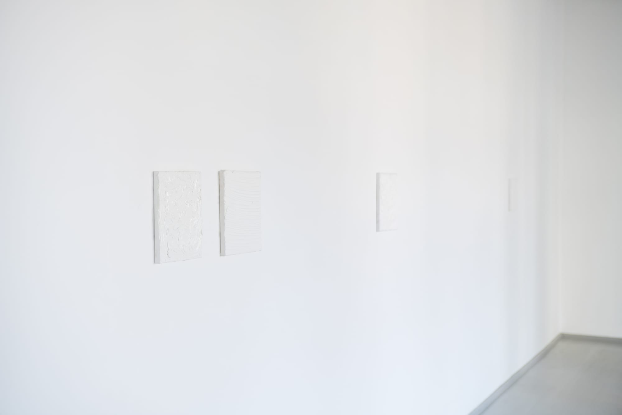 ADOMAS DANUSEVIČIUS