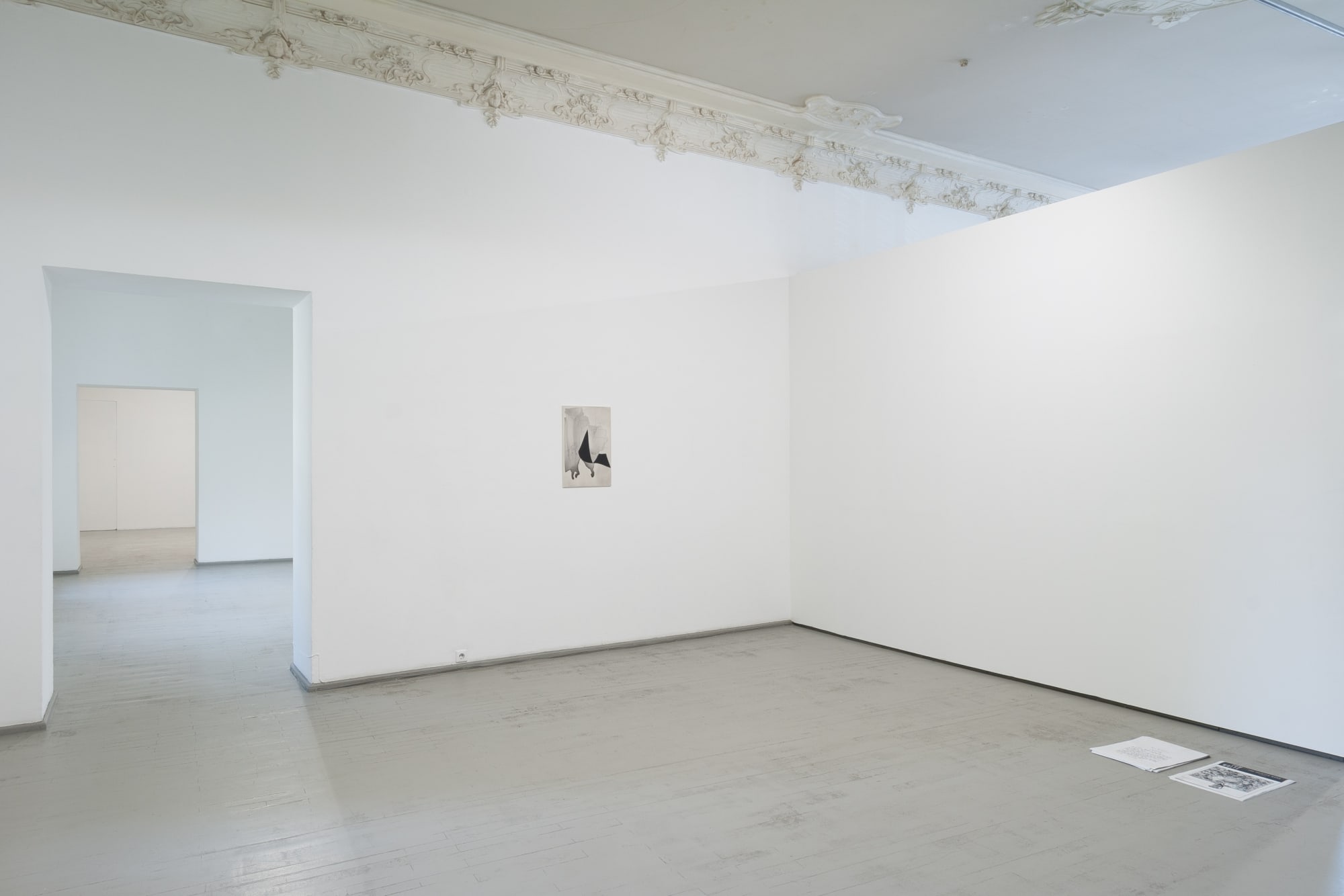 Heimo Zobernig ir Julia Haller