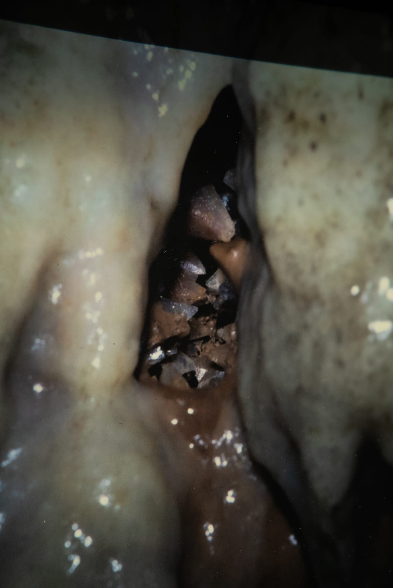 Geistė Marija Kinčinaitytė