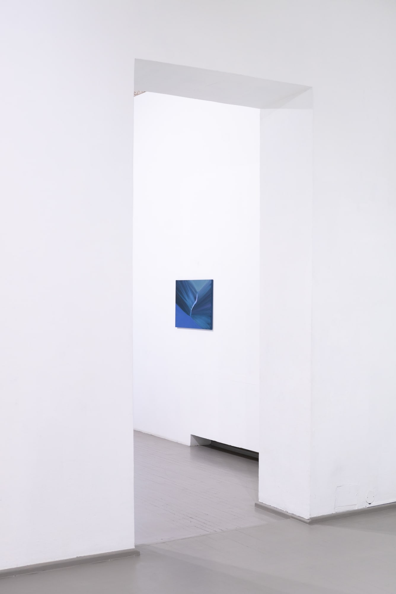 Photographed by Laurynas Skeisgiela