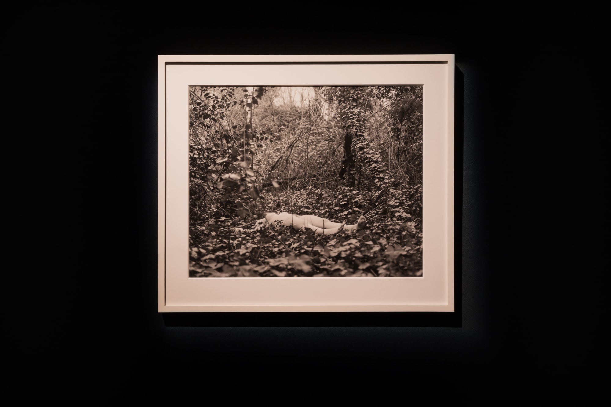 Galerija Vartai, 2017 "Self-Portrait II" (2012) by Geistė Marija Kinčinaitytė at the group exhibition "Body and Darkness"