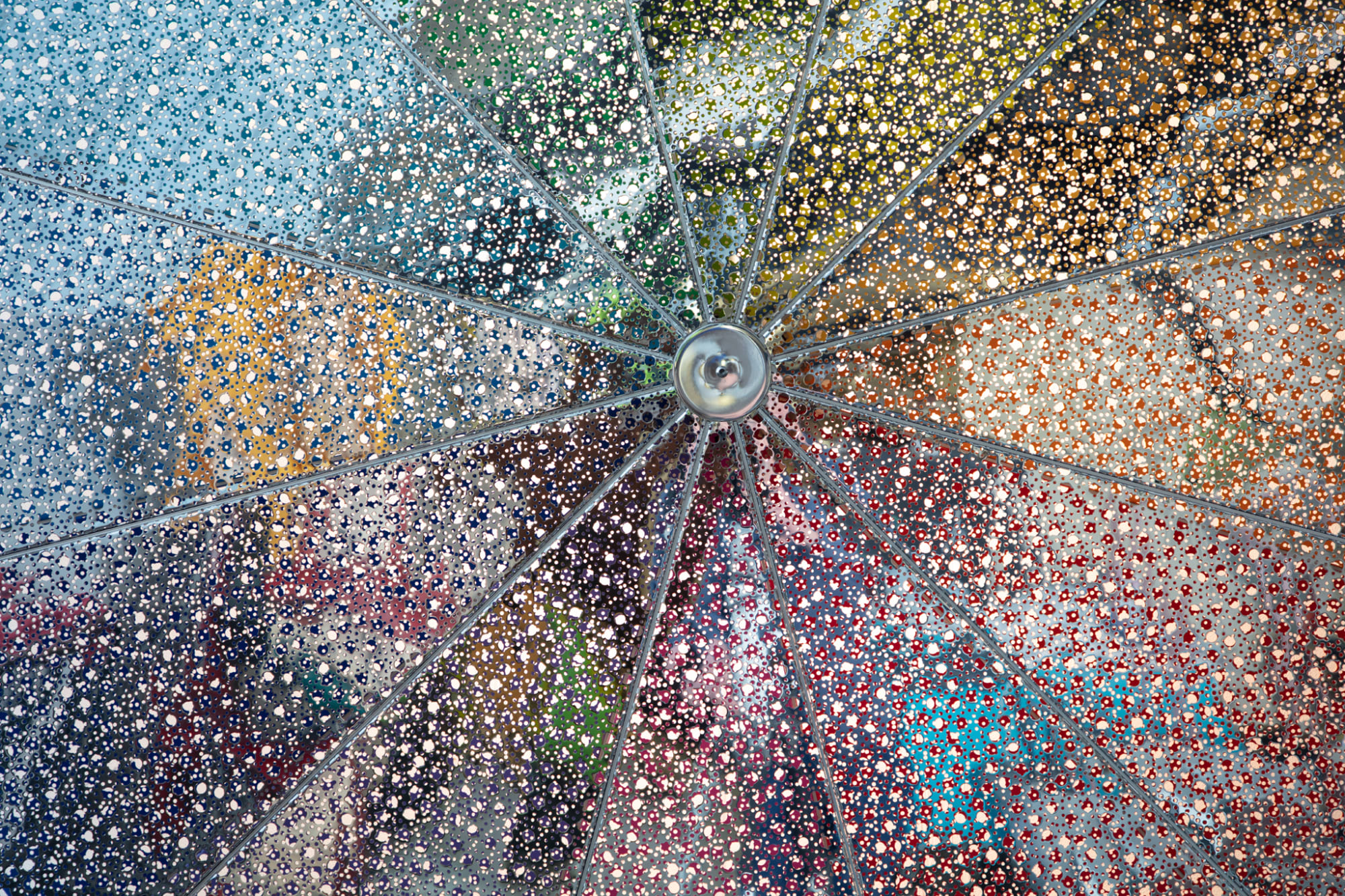 Conrad Shawcross