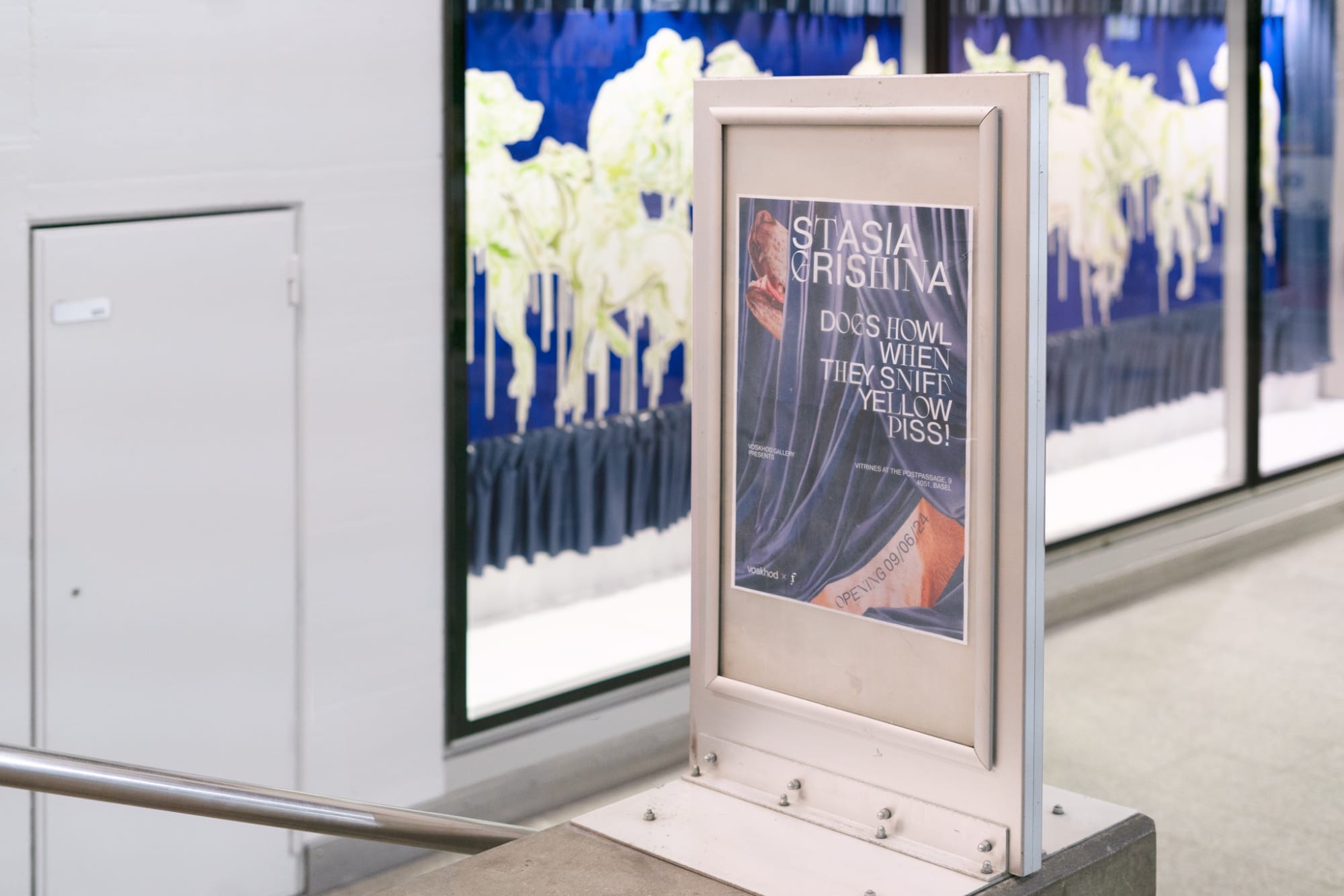 Dogs howl when they sniff yellow piss!