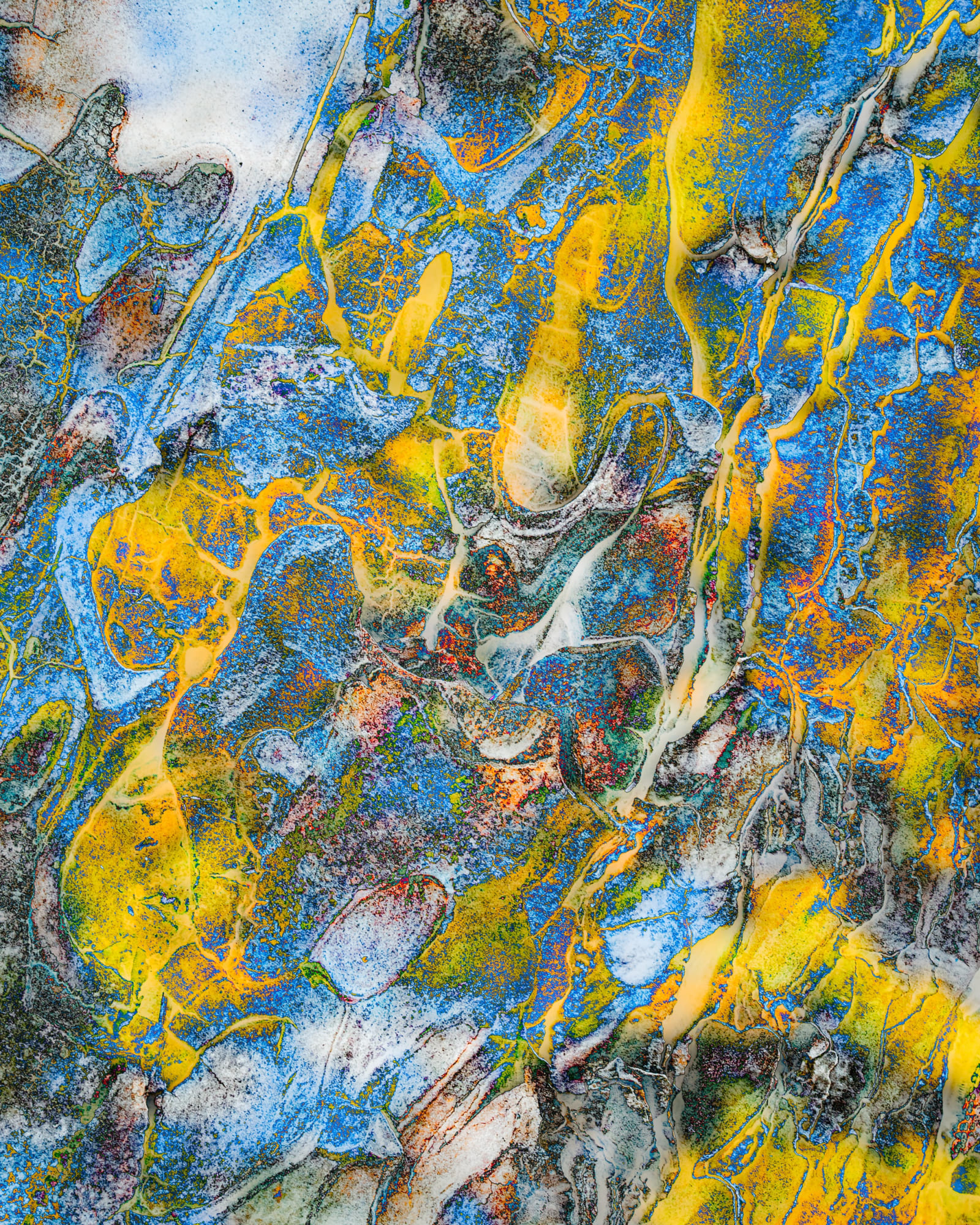 Boudewijn Swanenburg, Abstract Nature 22