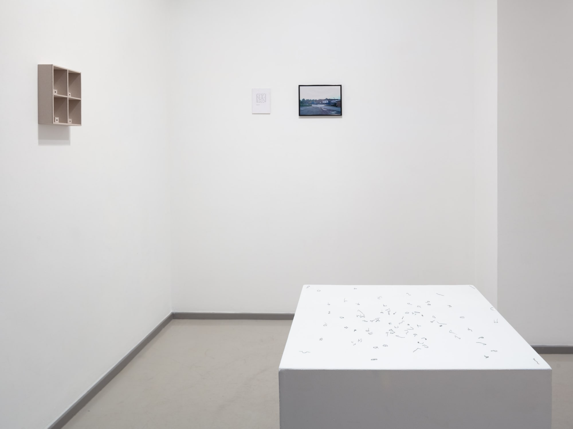 Courtesy the artist and Laure Genillard Gallery, London