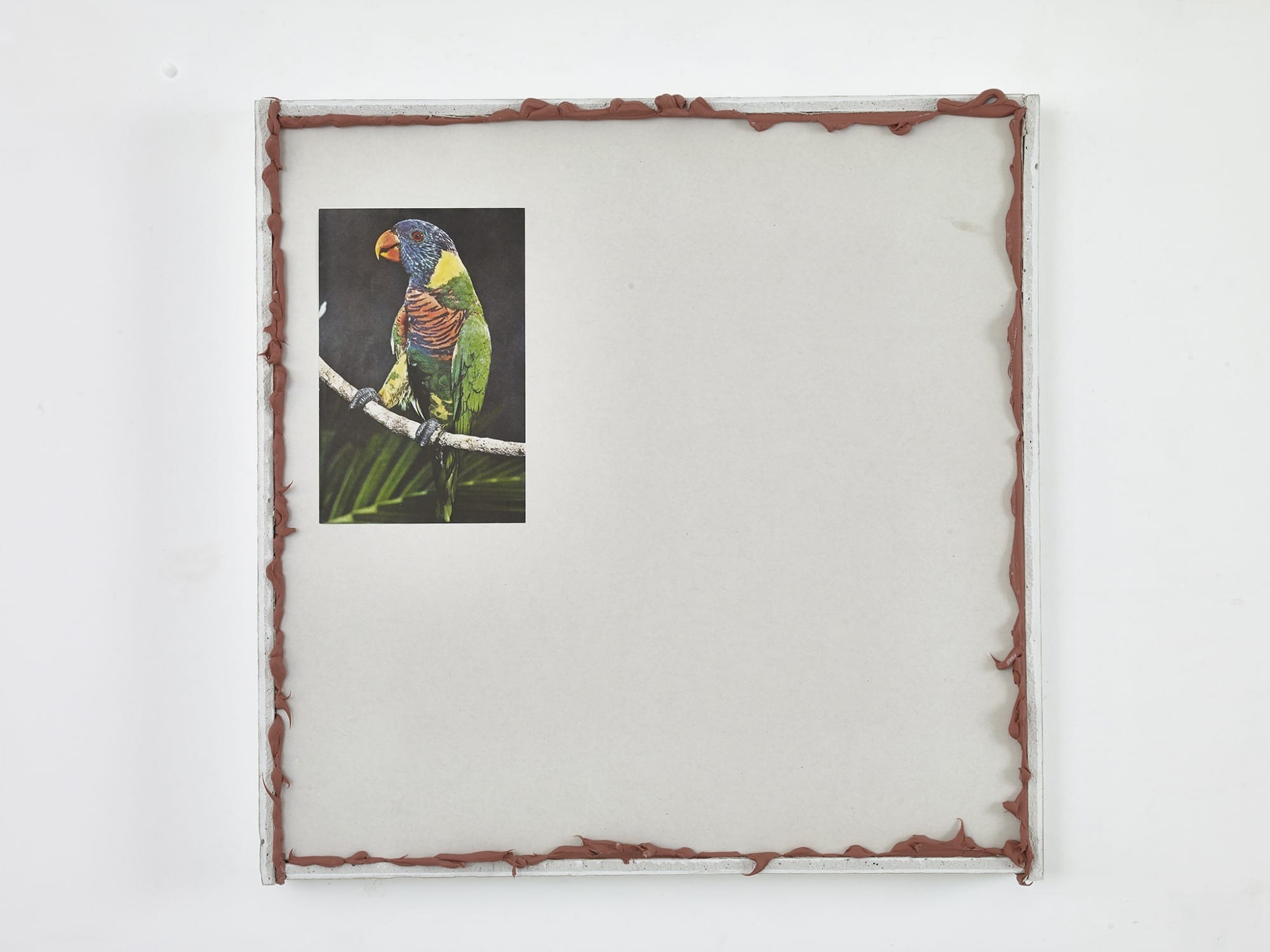 Paul Merrick Untitled (Parrot), 2015