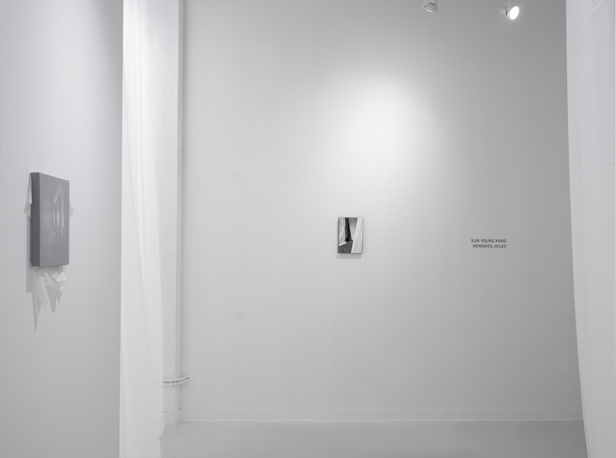 Sun Young Kang - Memories, Veiled