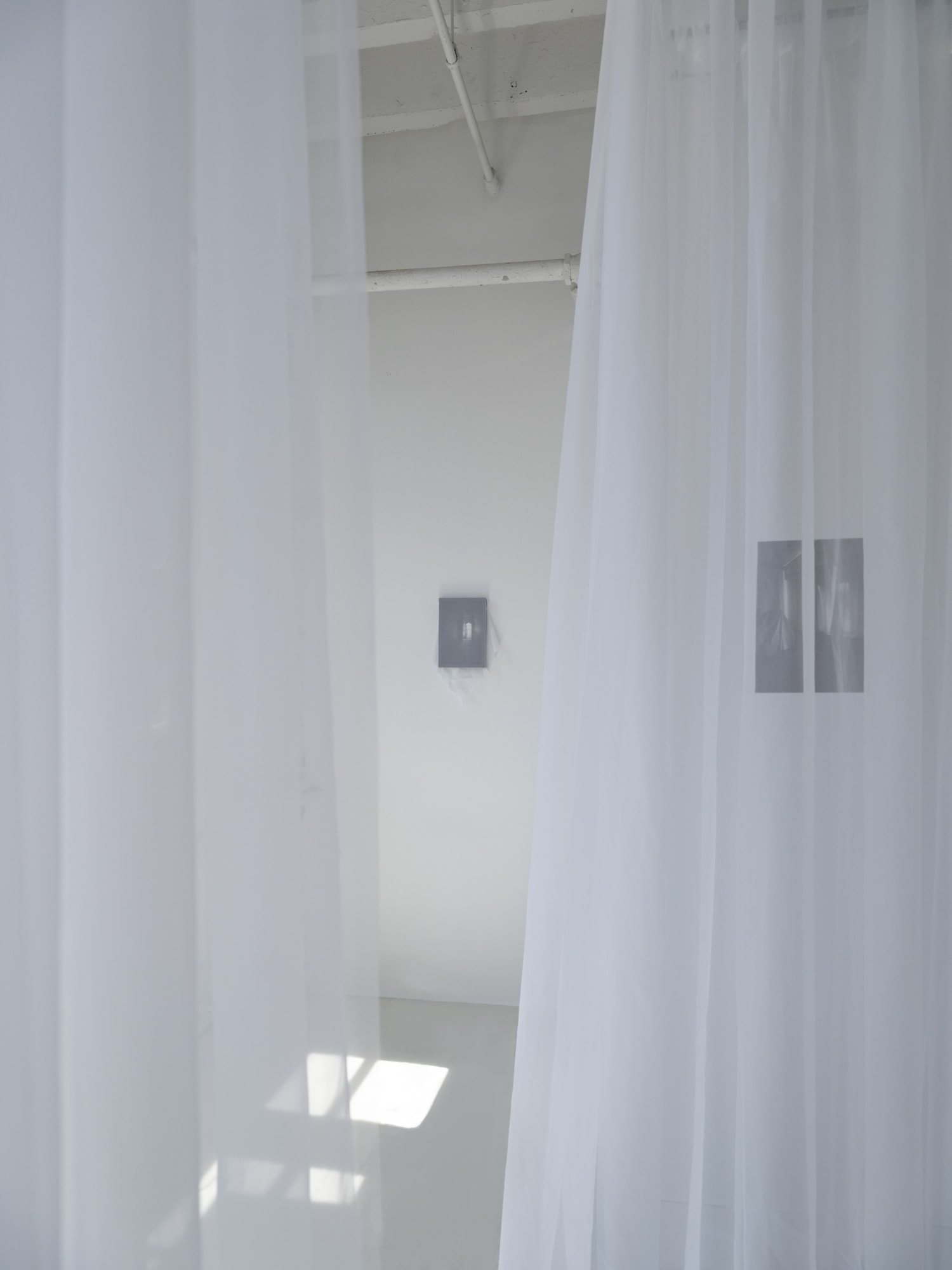 Sun Young Kang - Memories, Veiled