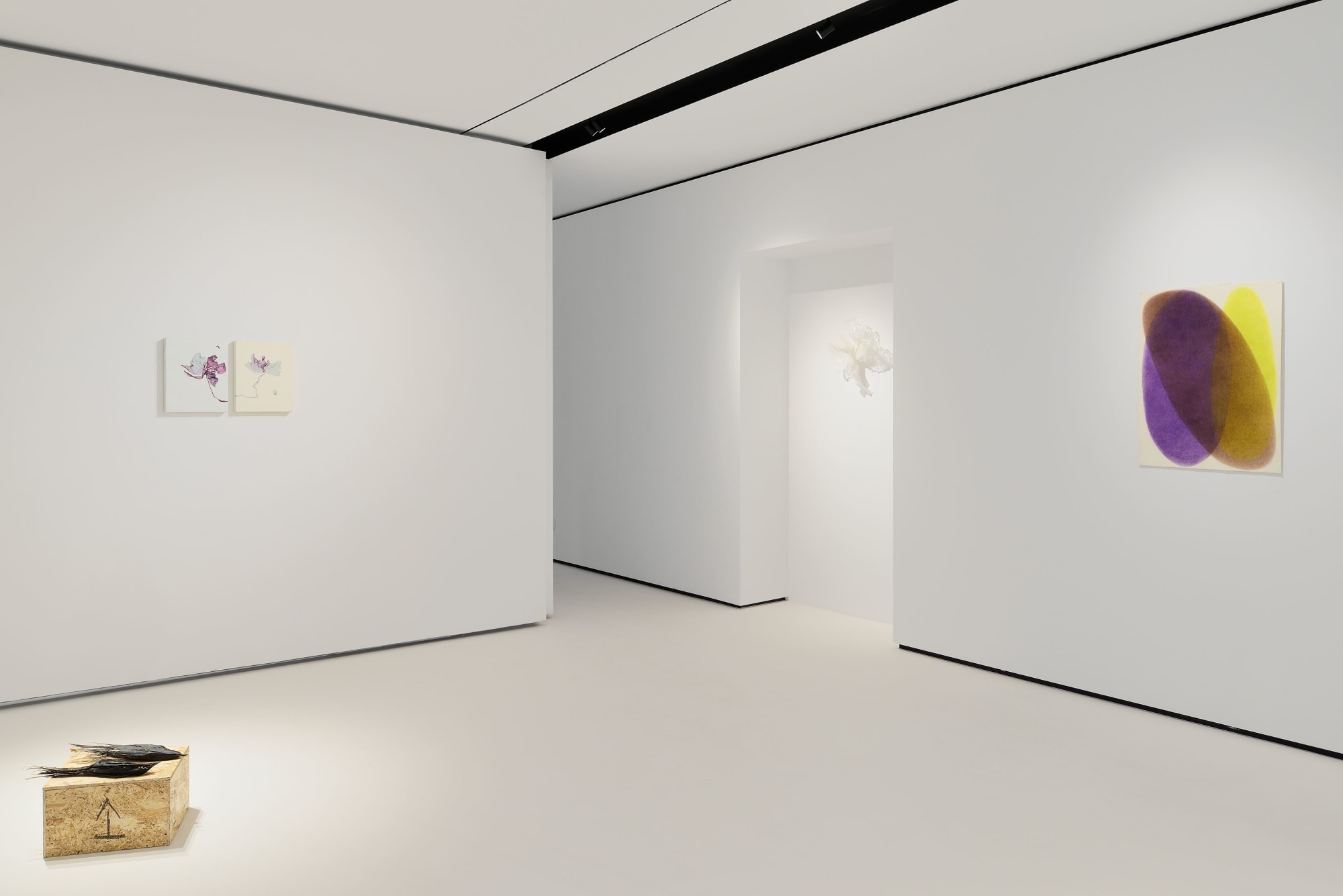 Installation View | Beatrice Pediconi, Where flowers bloom so does hope, 2025 | Another Look, hosted by Reintegra Fine Art, 2025. Ph. Roberto Apa