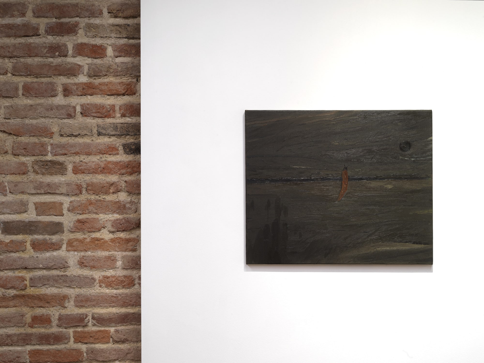 Michele Tocca @ HM, HE, HA. First part: Pesce Khete and Michele Tocca, Fondazione Coppola, Vicenza, 2024. ph Dario Lasagni