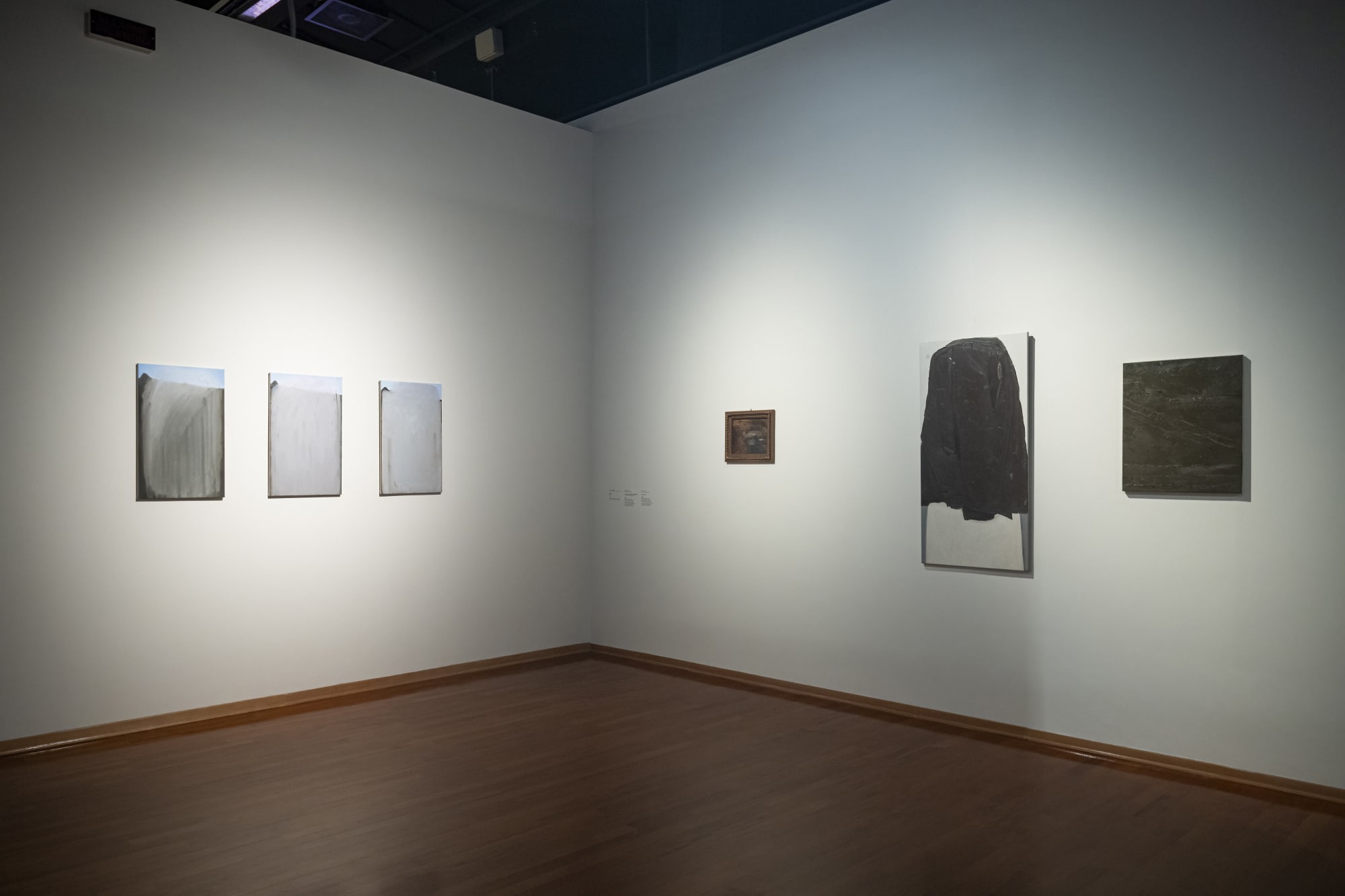 Installation View Terra e Vapori | GAM Torino | 16 October 2024 > 16 March 2025 ph. Giorgio Perottino